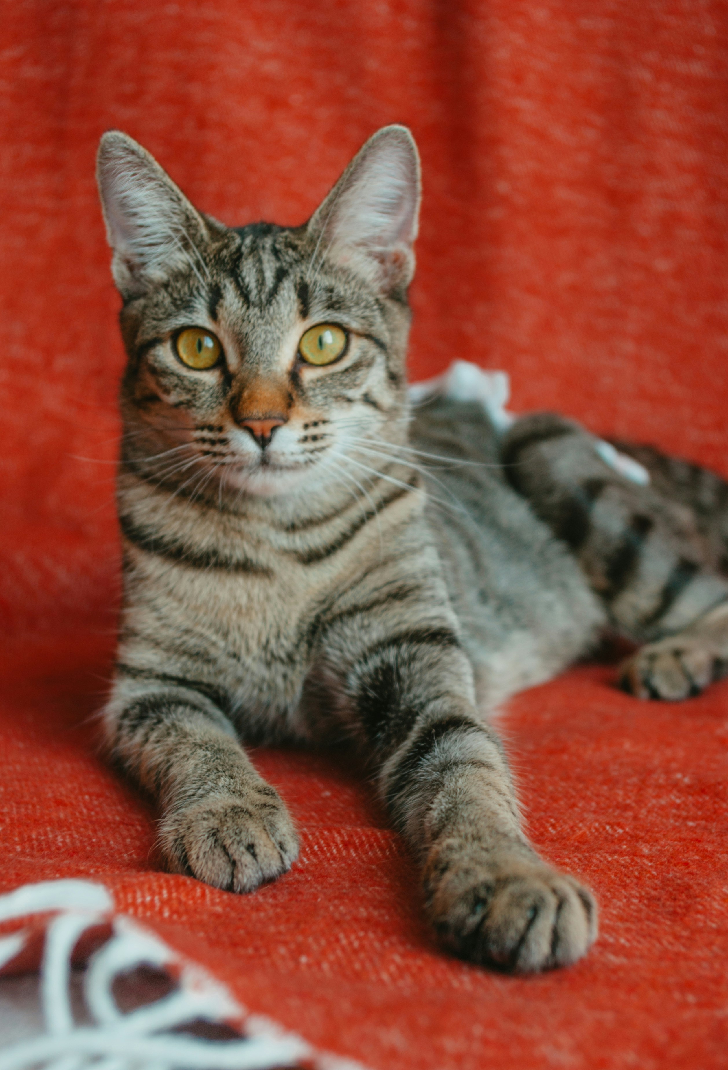 Photo by moonmoons_days