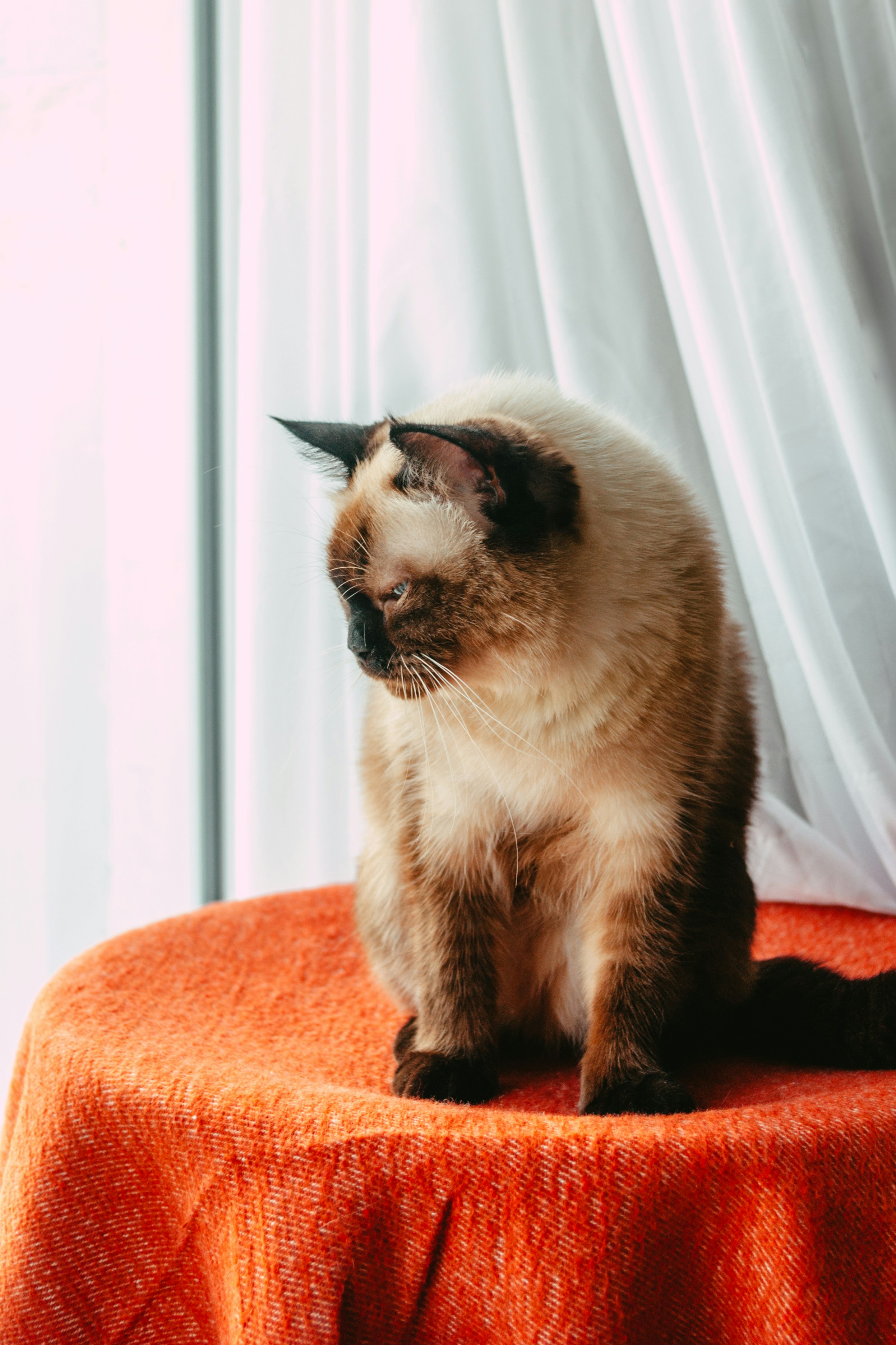 Photo by moonmoons_days