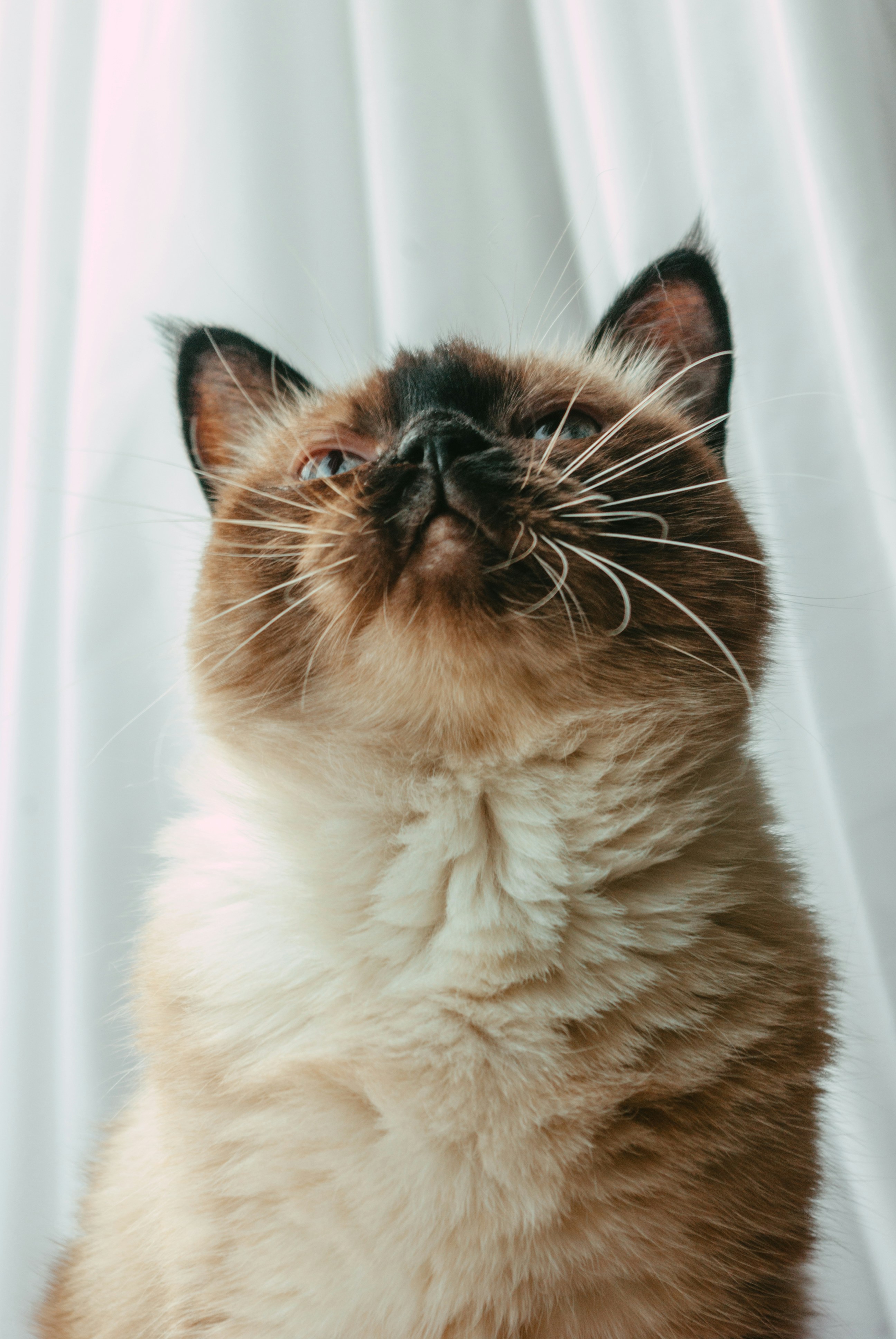 Photo by moonmoons_days