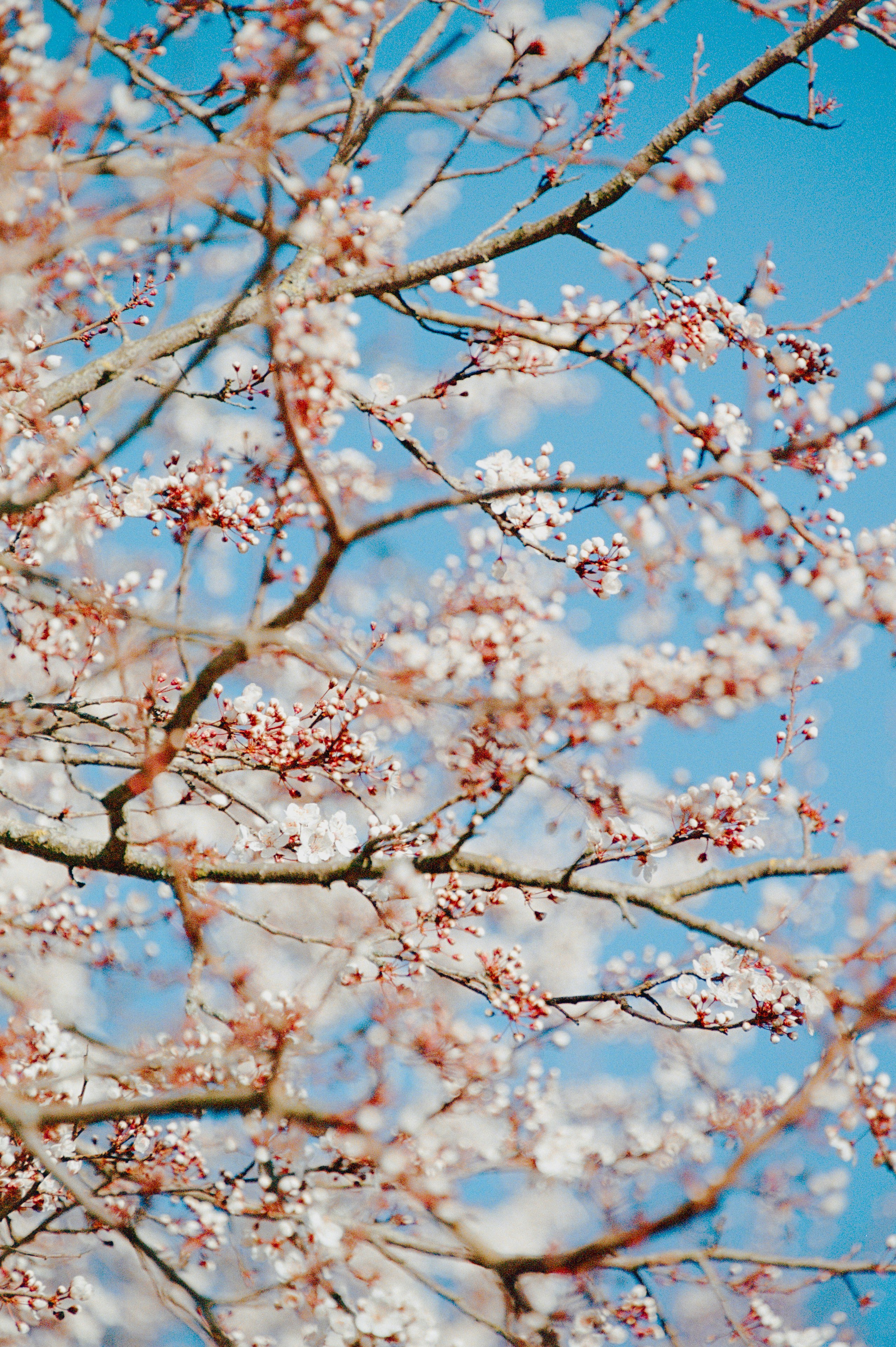 Photo by snakeytales