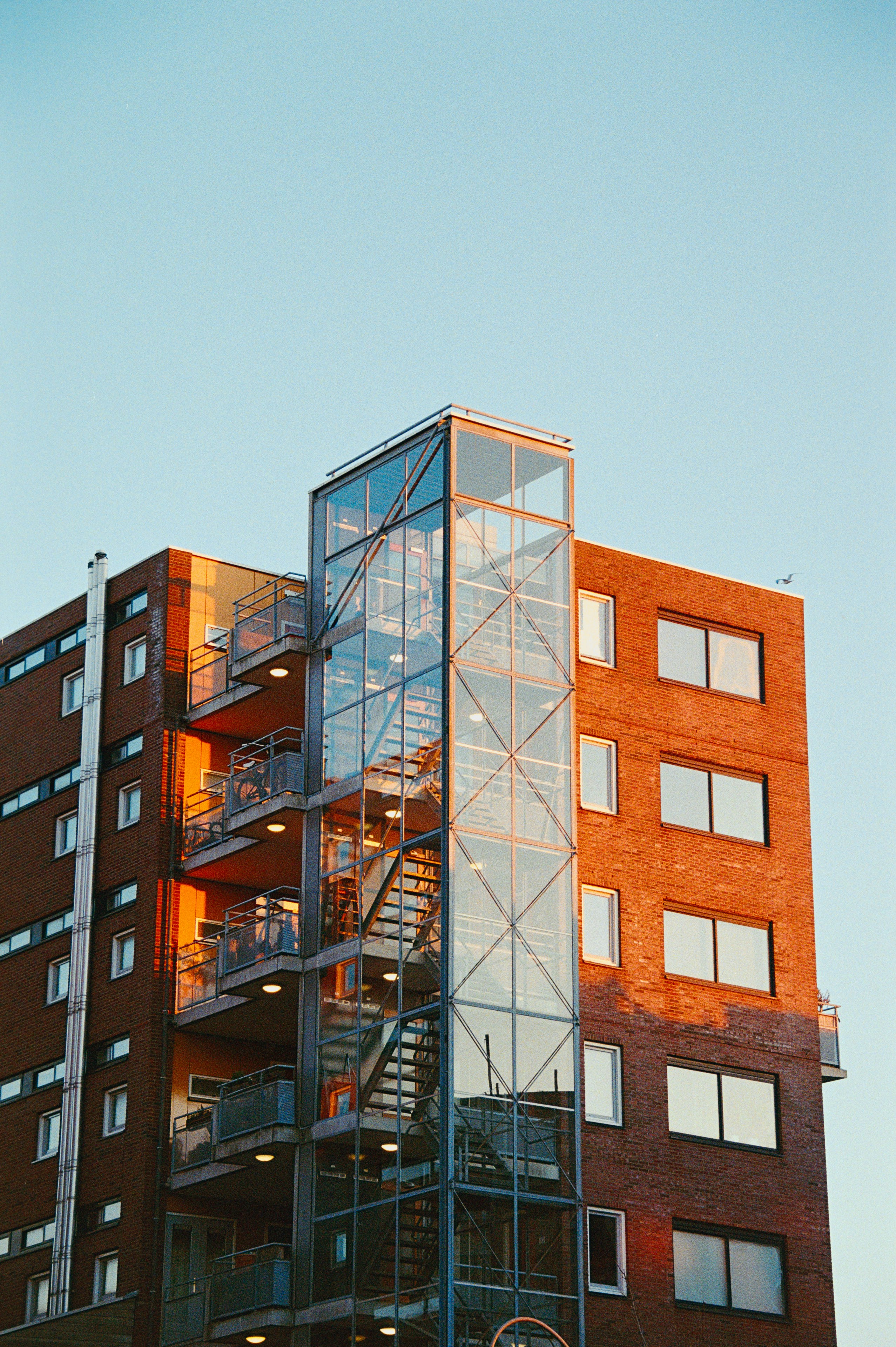 Photo by snakeytales