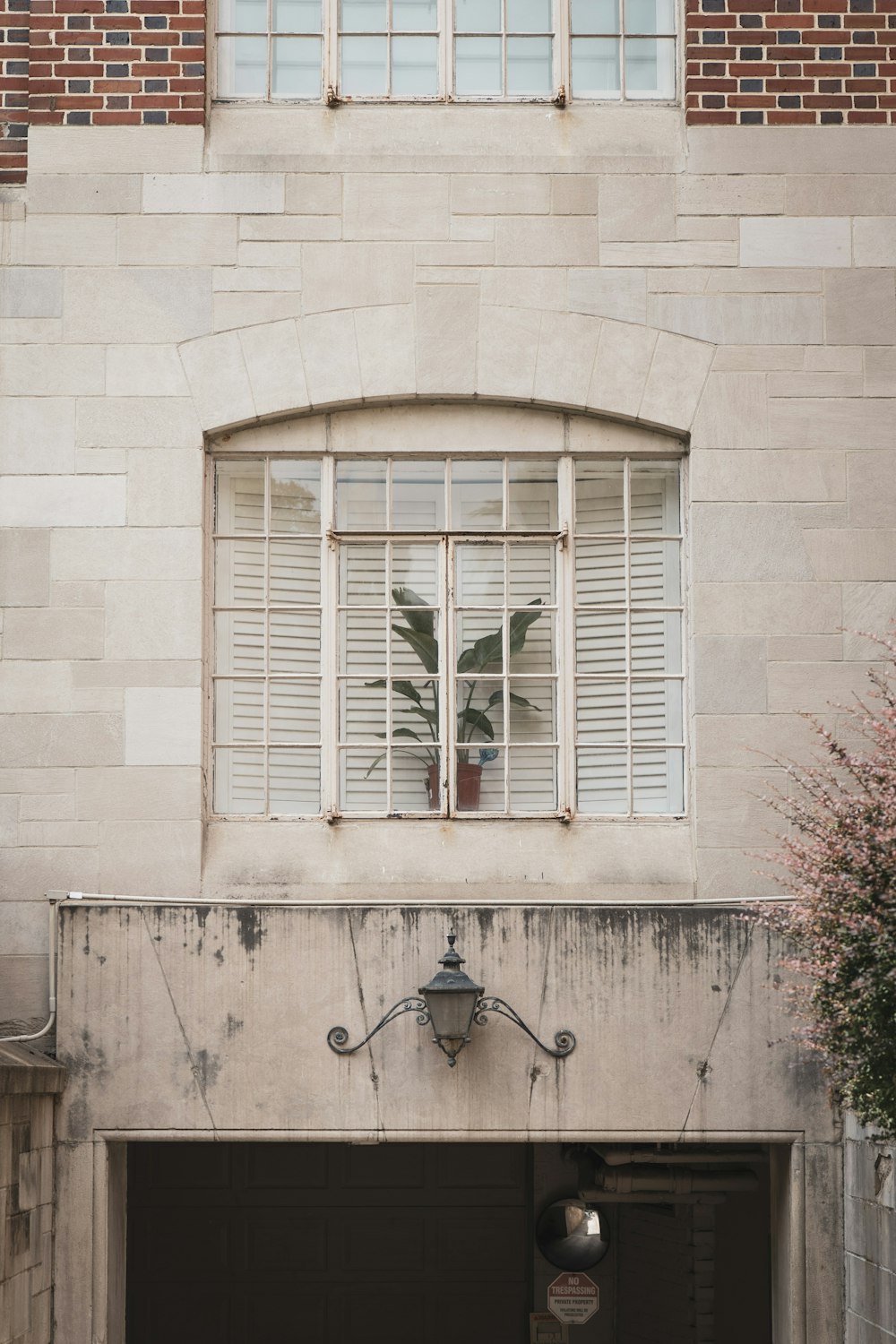 a garage with a plant in the window