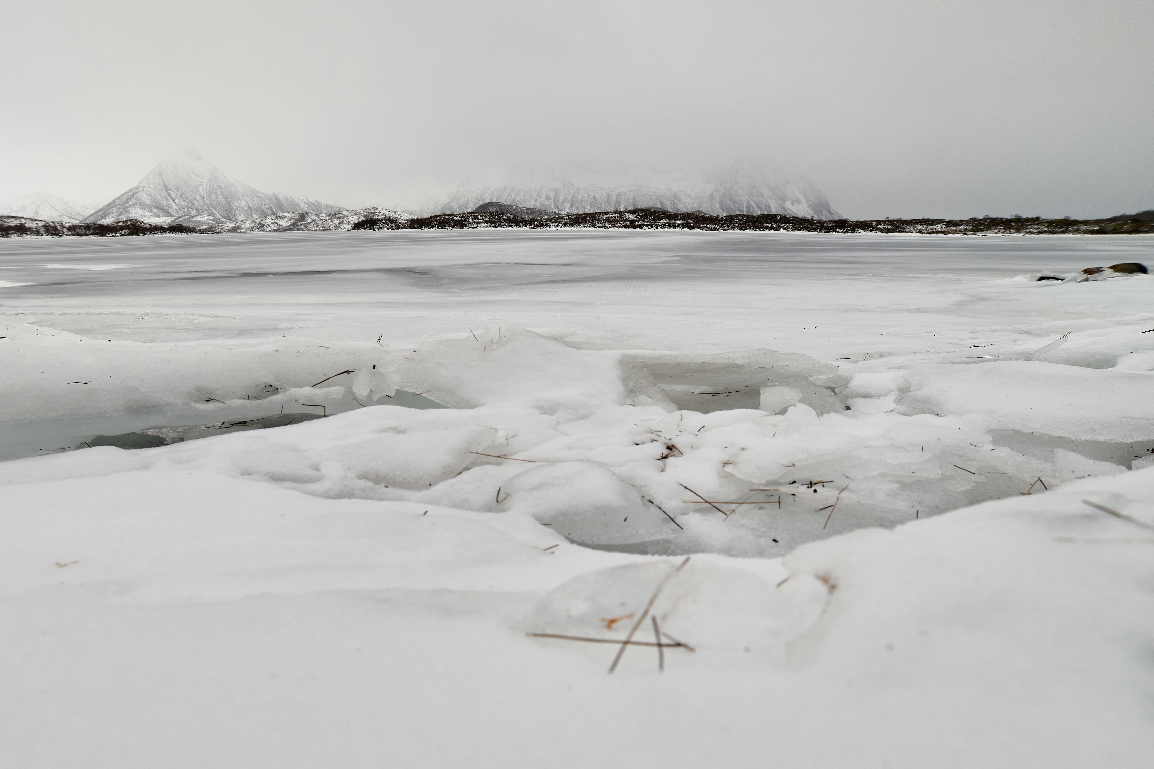 Photo by wolfgang_hasselmann