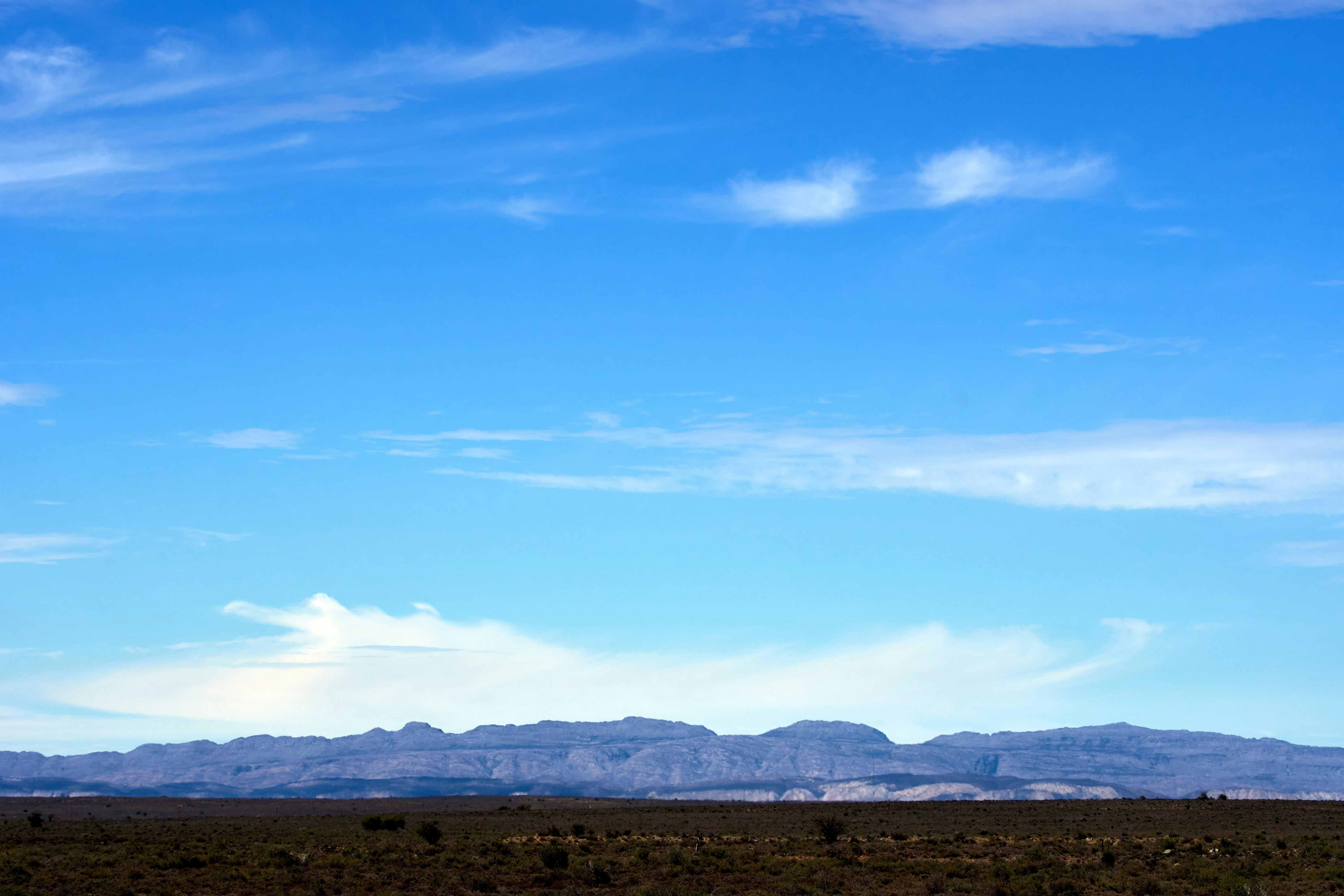 Photo by wolfgang_hasselmann