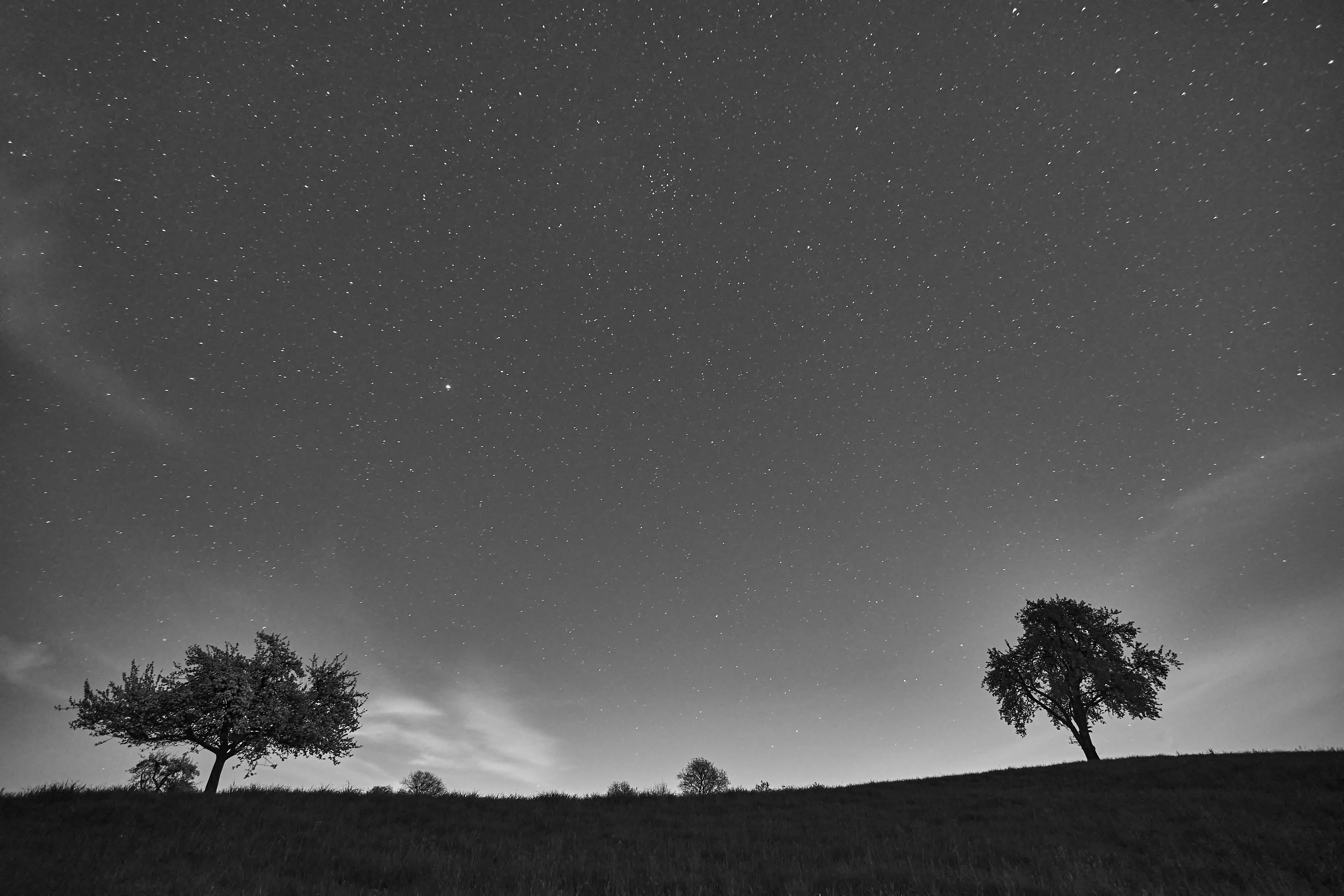 Photo by wolfgang_hasselmann