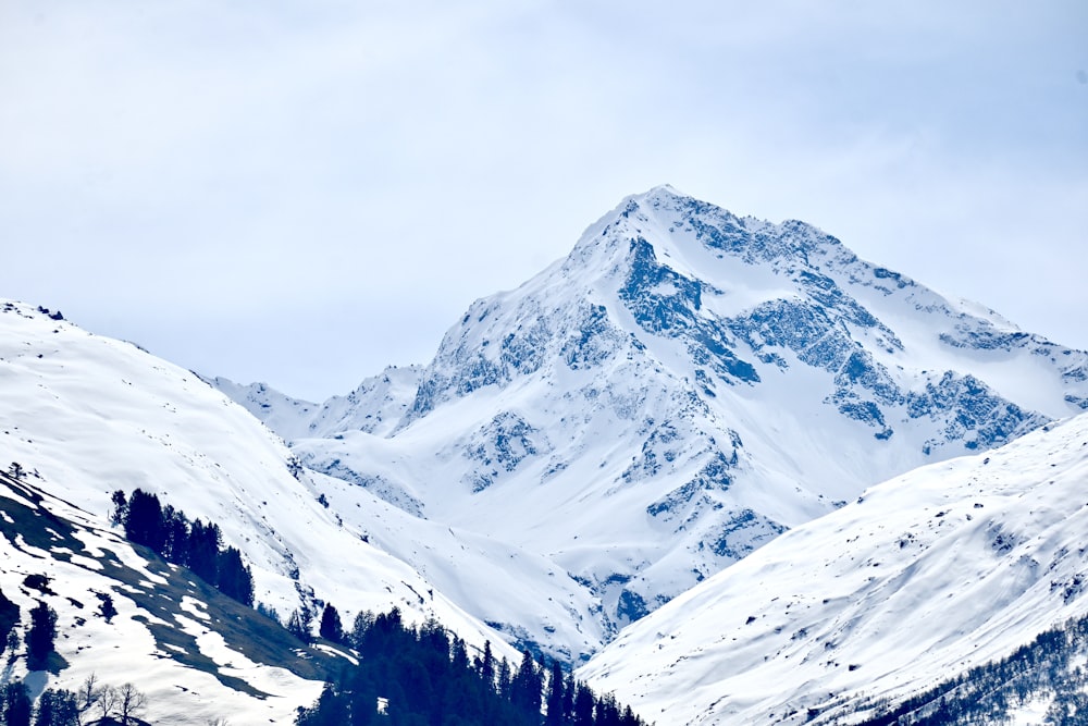 a mountain covered in snow with trees in the foreground