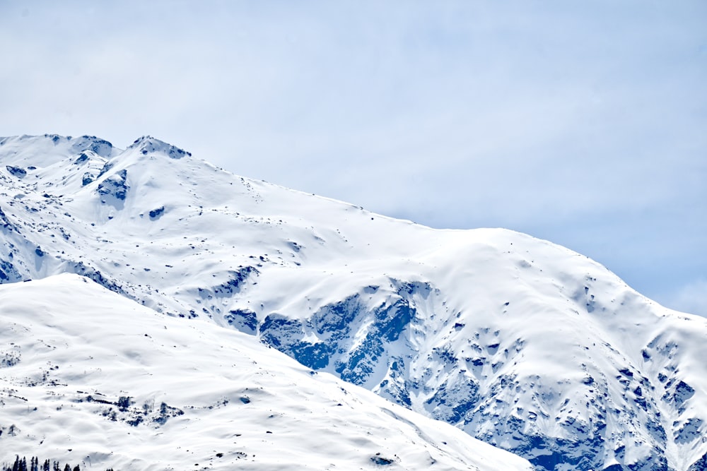 a snow covered mountain with trees in the foreground