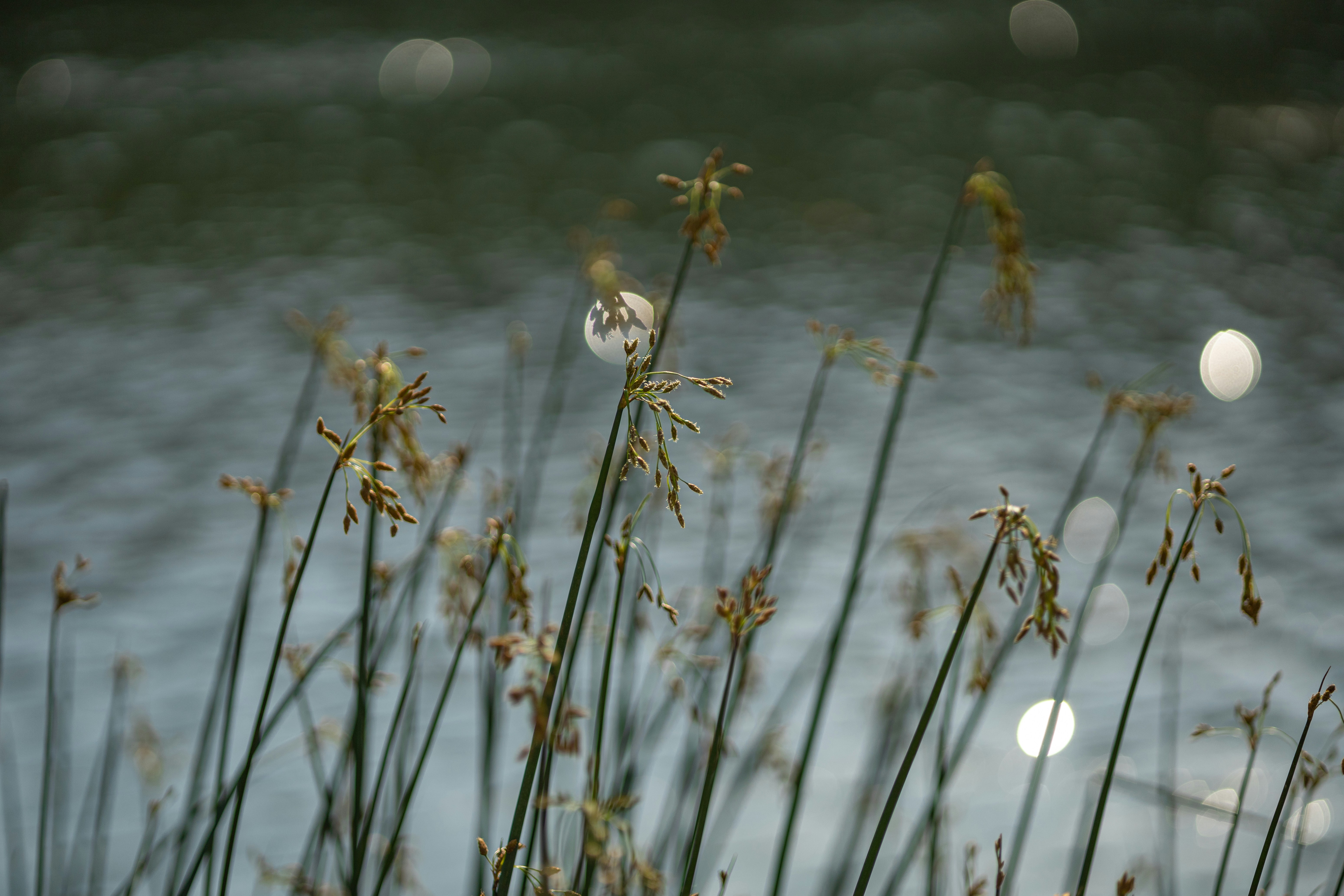 Photo by parkseongjin