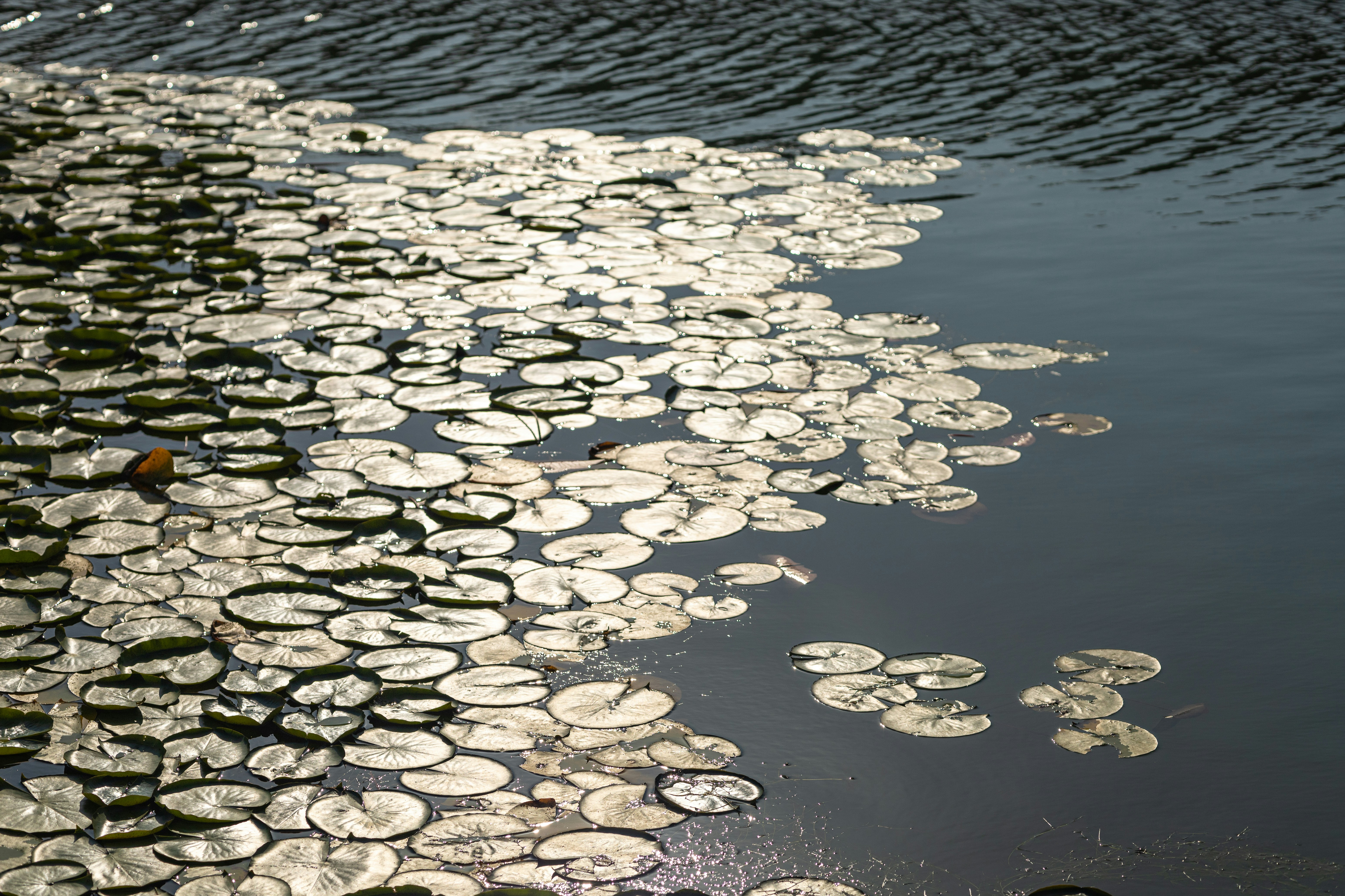 Photo by parkseongjin