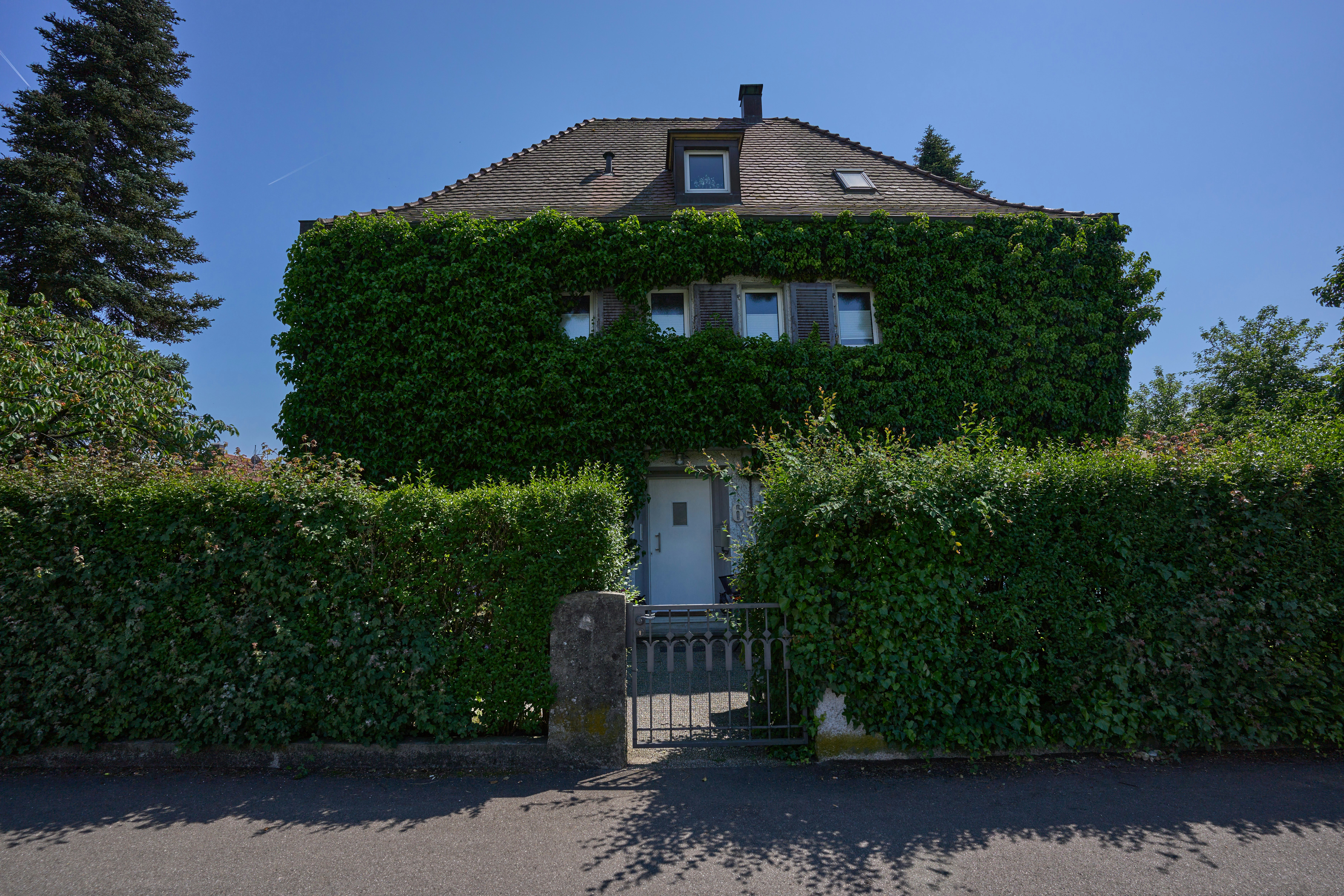 Photo by wolfgang_hasselmann