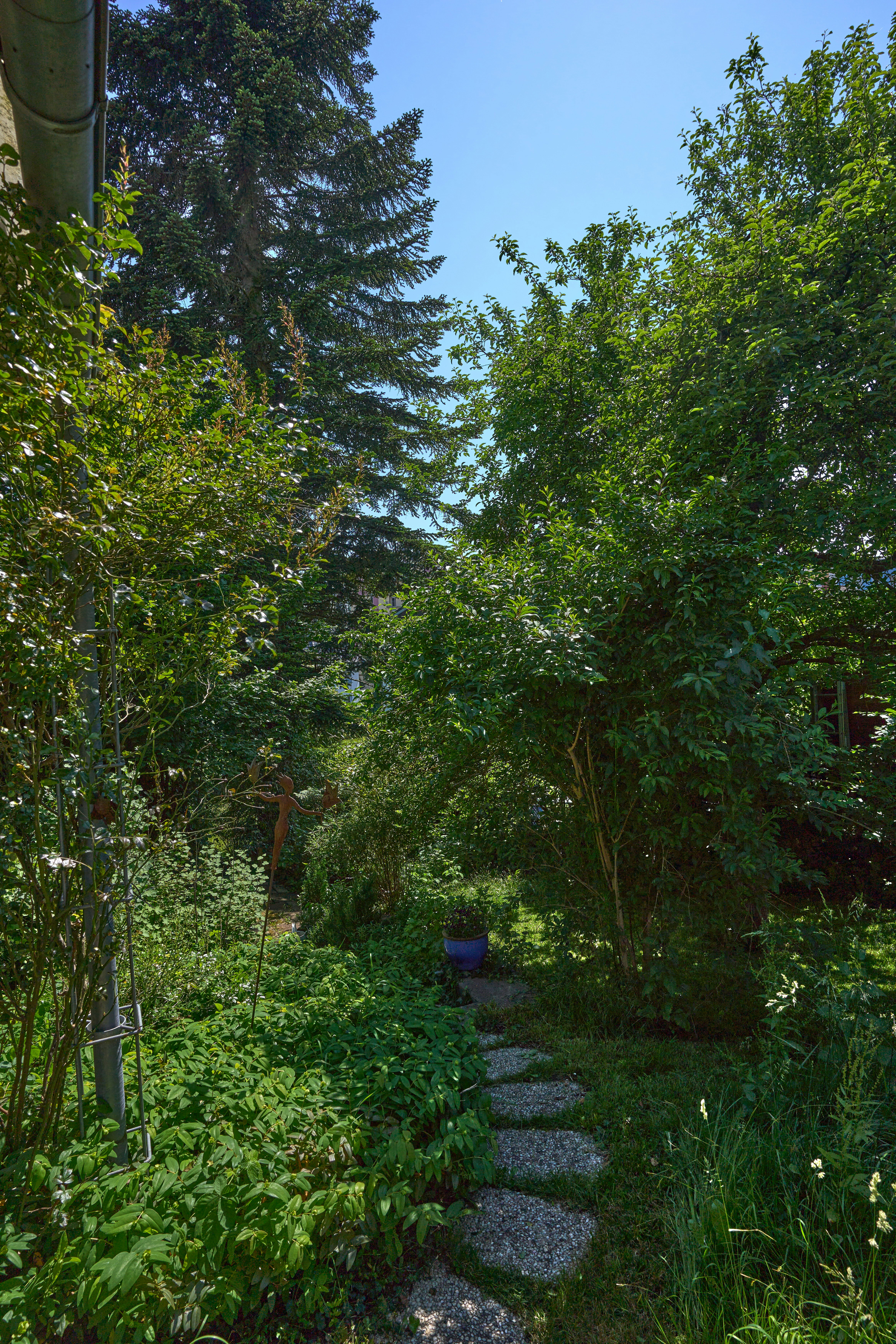 Photo by wolfgang_hasselmann