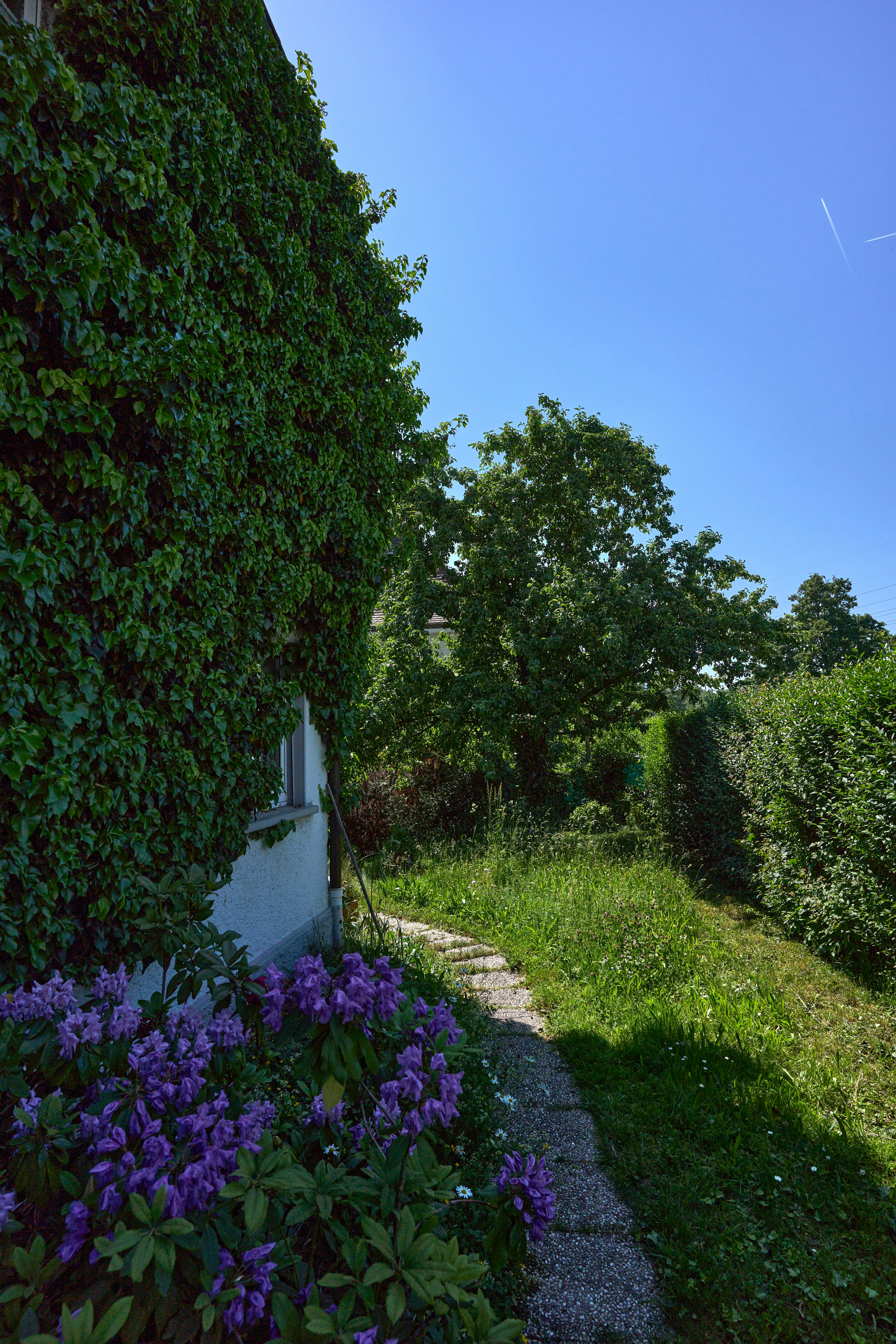 Photo by wolfgang_hasselmann