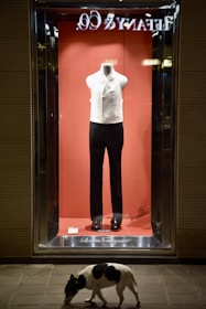 A chic pet outfit displayed on a mannequin, featuring a trendy pattern and soft fabric.