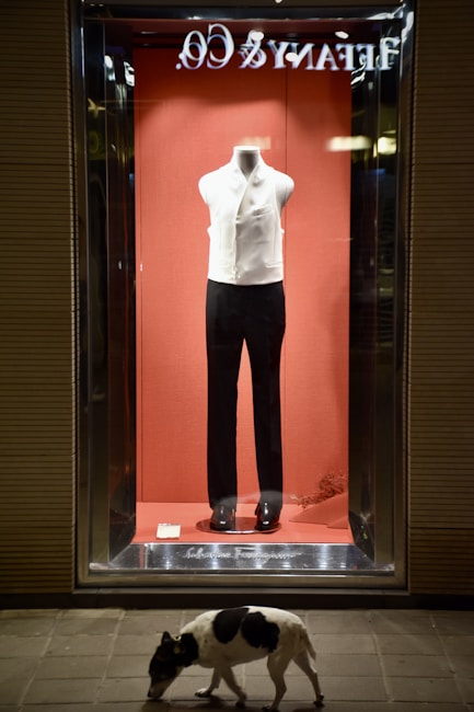 A storefront display features a mannequin wearing a formal outfit with a white vest and black pants against a red backdrop. The store name is visible in reverse at the top. On the sidewalk below, a dog with a black and white coat walks by.