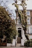 A three-story brick house with white window frames and decorative moldings. The entrance features a set of dark wooden doors accessed by a short flight of stone steps. There are lush trees and greenery around the property, with a large tree in the front yard leaning slightly towards the house.