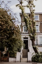 A three-story brick house with white window frames and decorative moldings. The entrance features a set of dark wooden doors accessed by a short flight of stone steps. There are lush trees and greenery around the property, with a large tree in the front yard leaning slightly towards the house.