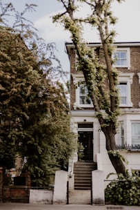 A three-story brick house with white window frames and decorative moldings. The entrance features a set of dark wooden doors accessed by a short flight of stone steps. There are lush trees and greenery around the property, with a large tree in the front yard leaning slightly towards the house.