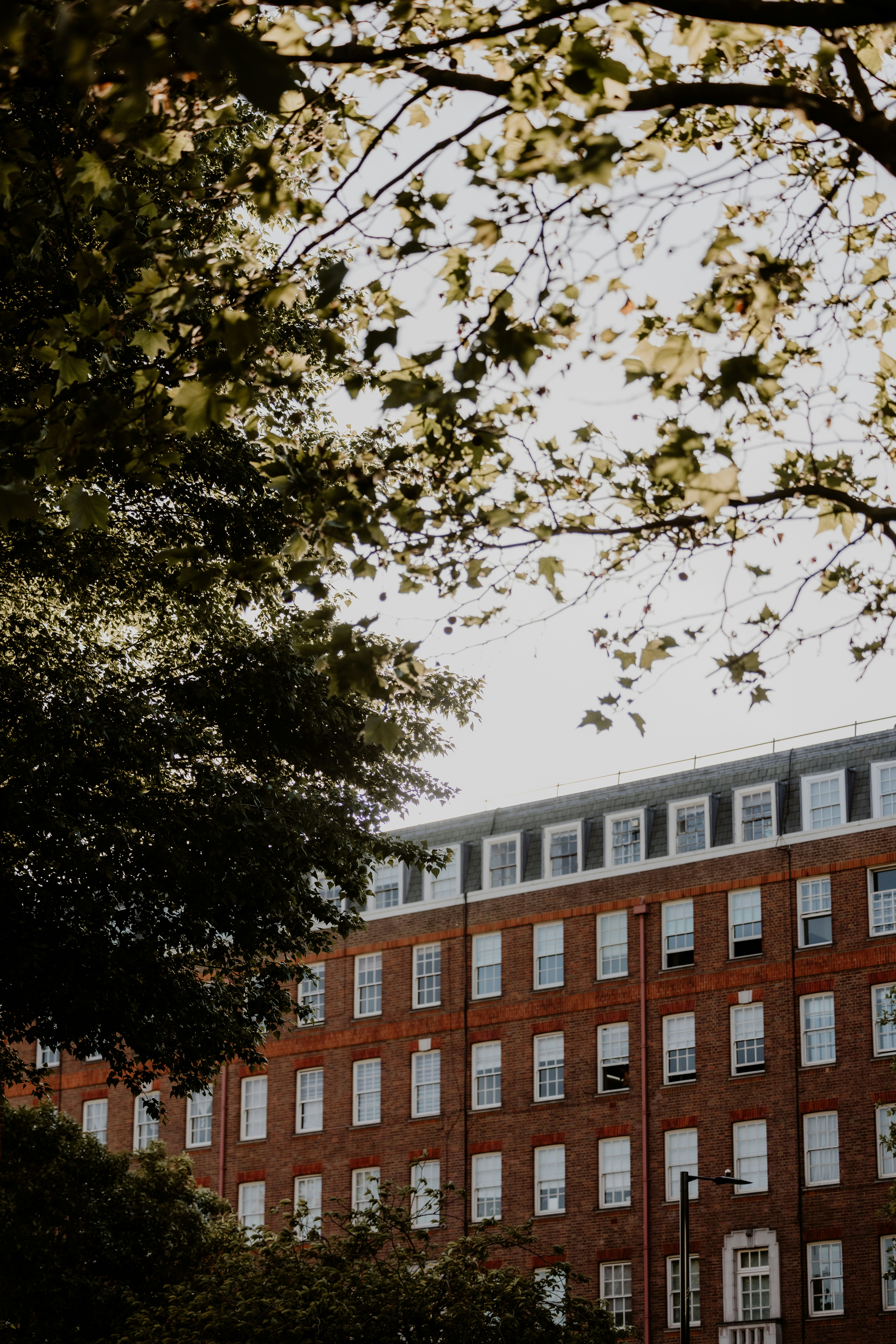 Photo by joshwithers