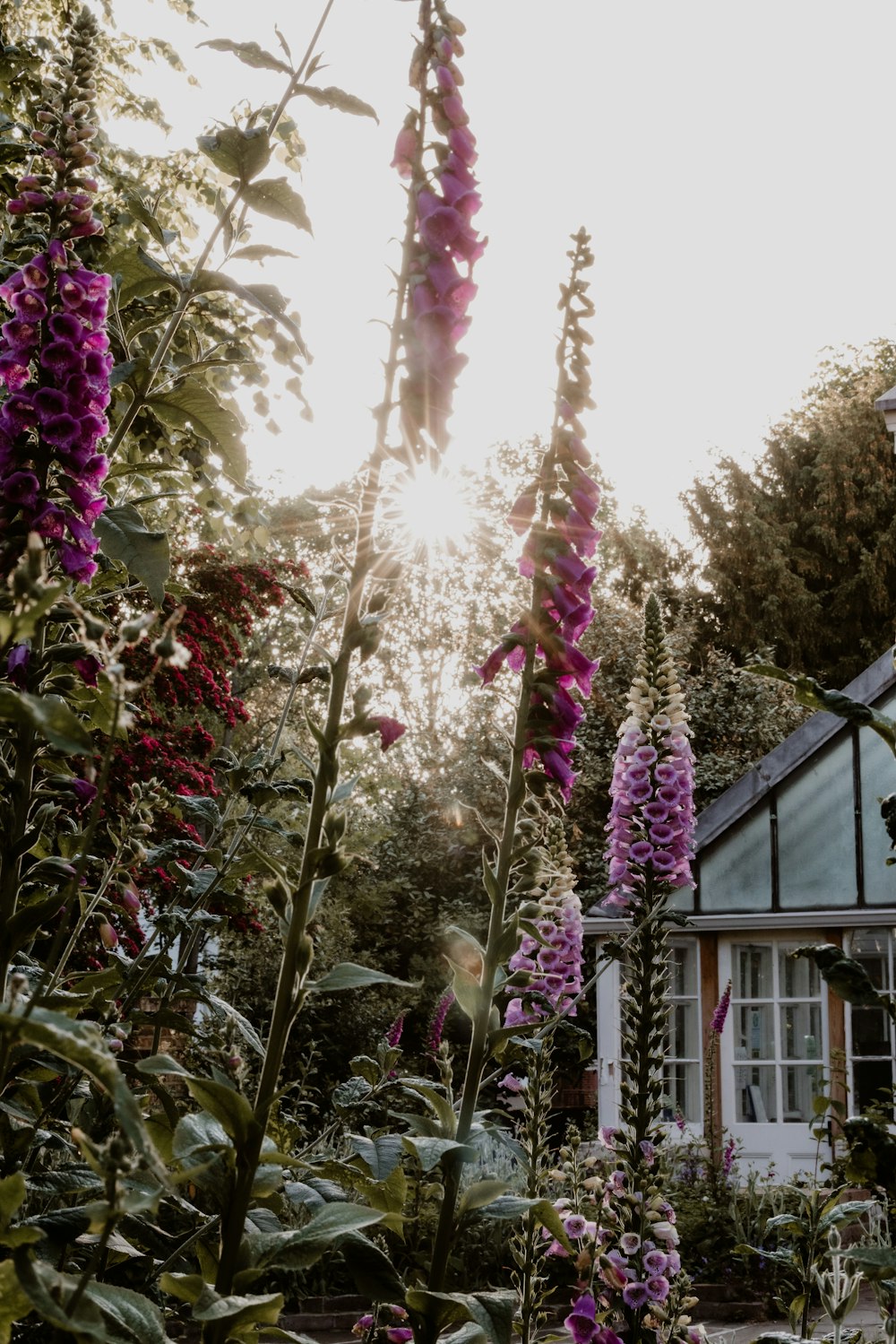 a house surrounded by flowers in a garden