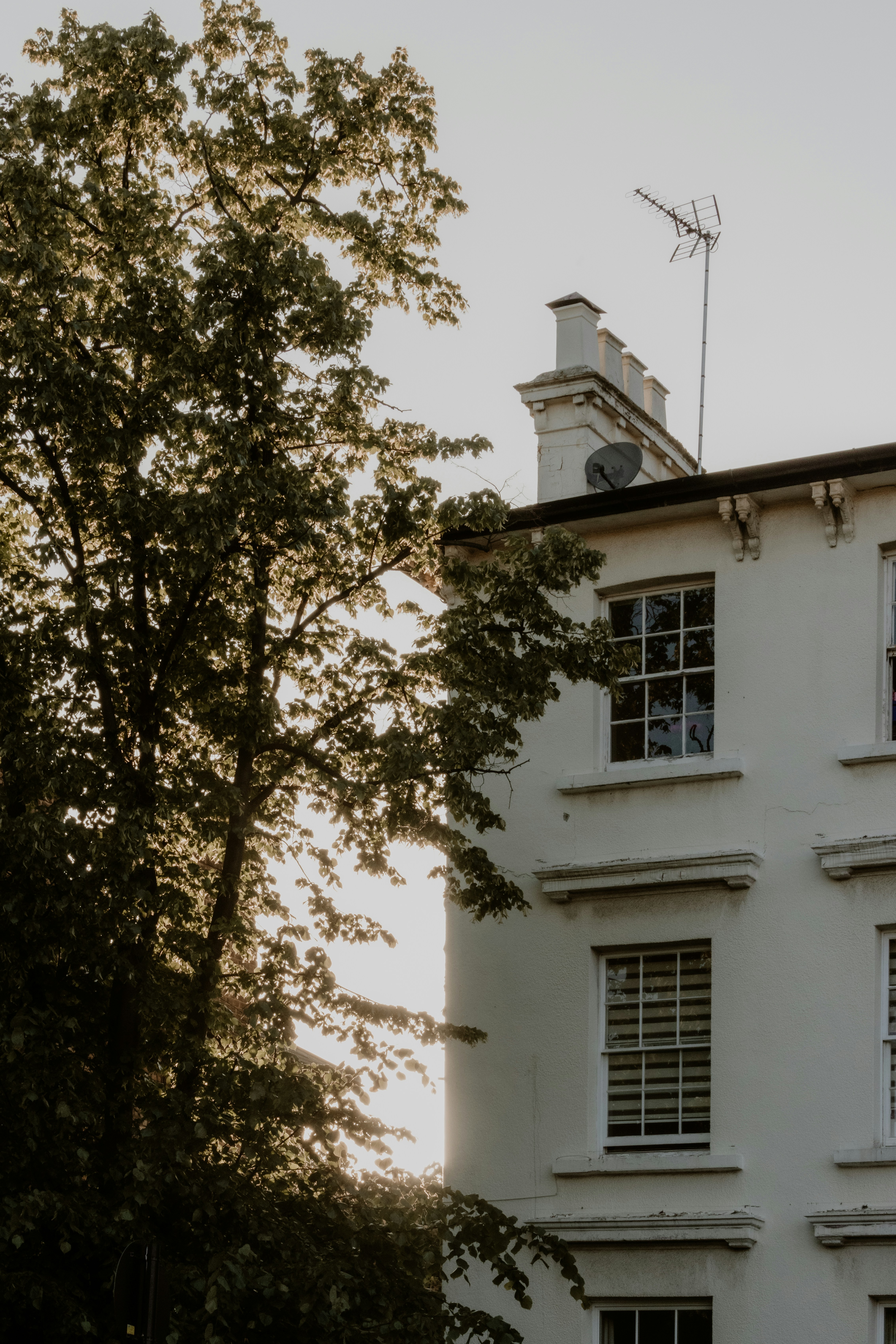 Photo by joshwithers