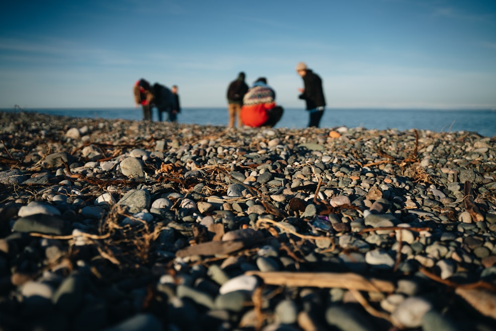 a group of people standing on top of a rocky beach