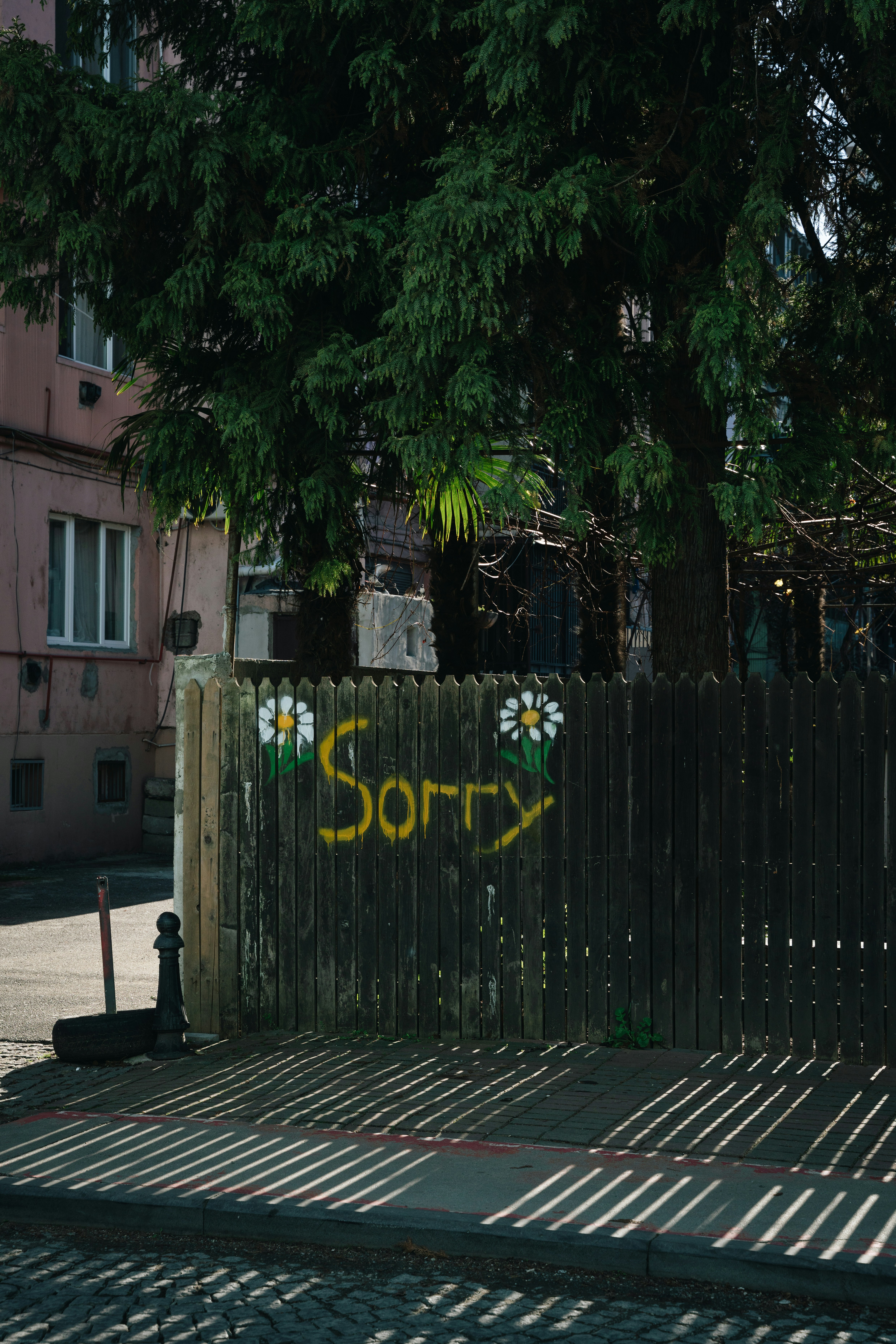 a wooden fence with graffiti on it next to a tree