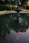 a fountain with a bunch of fish swimming around it
