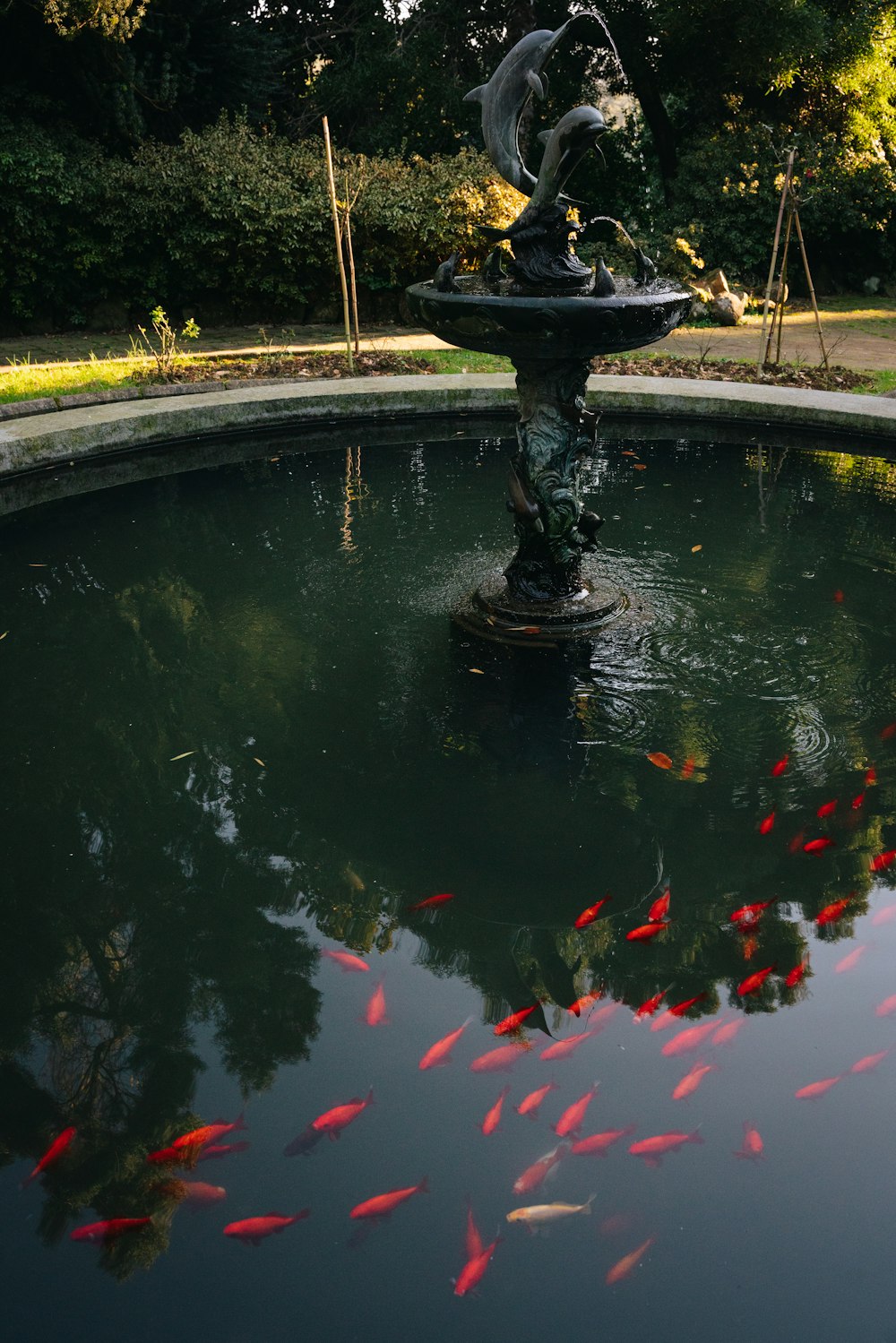 a fountain with a bunch of fish swimming around it