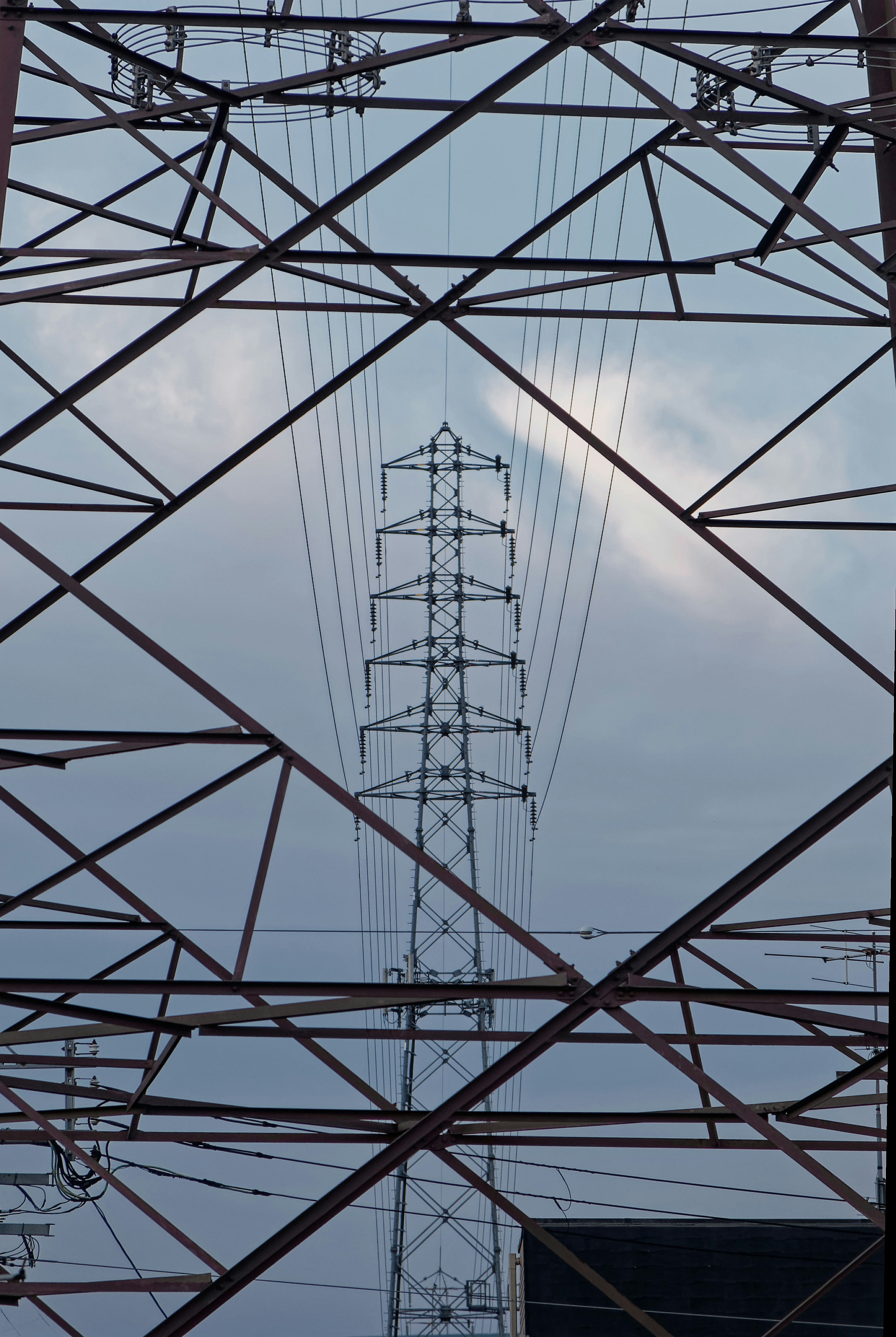 Photo by da_shika_photo