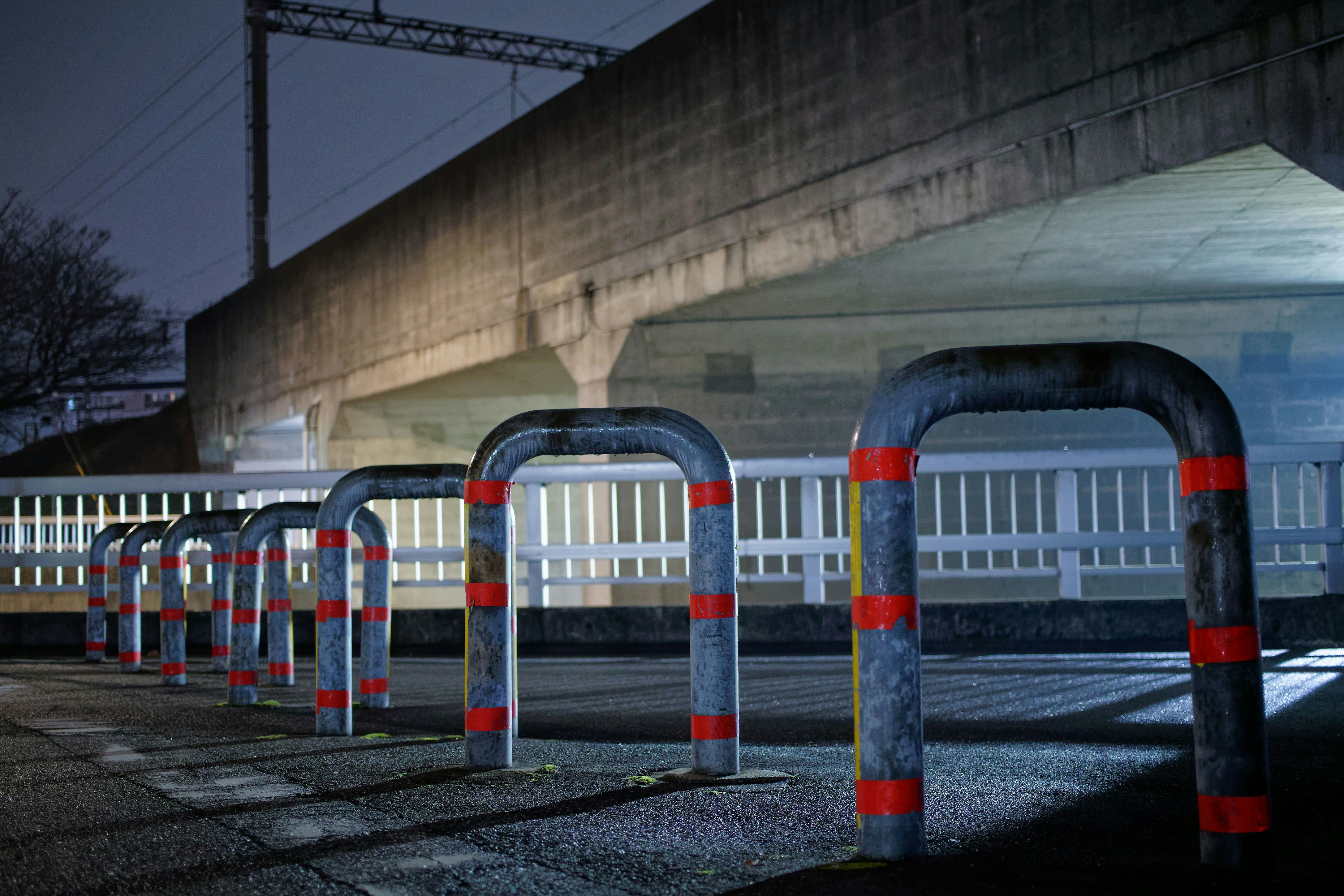 Photo by da_shika_photo