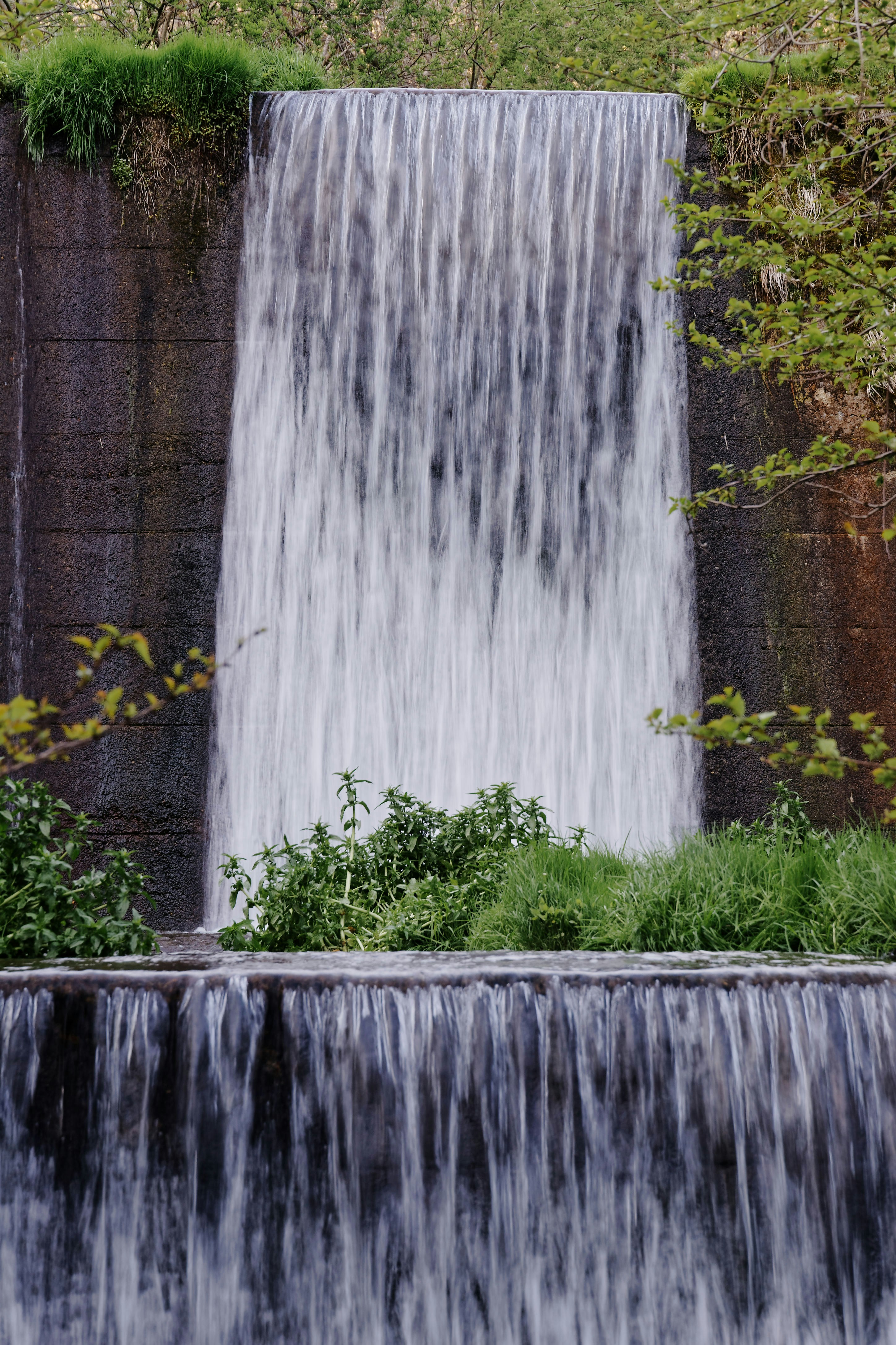 Photo by da_shika_photo