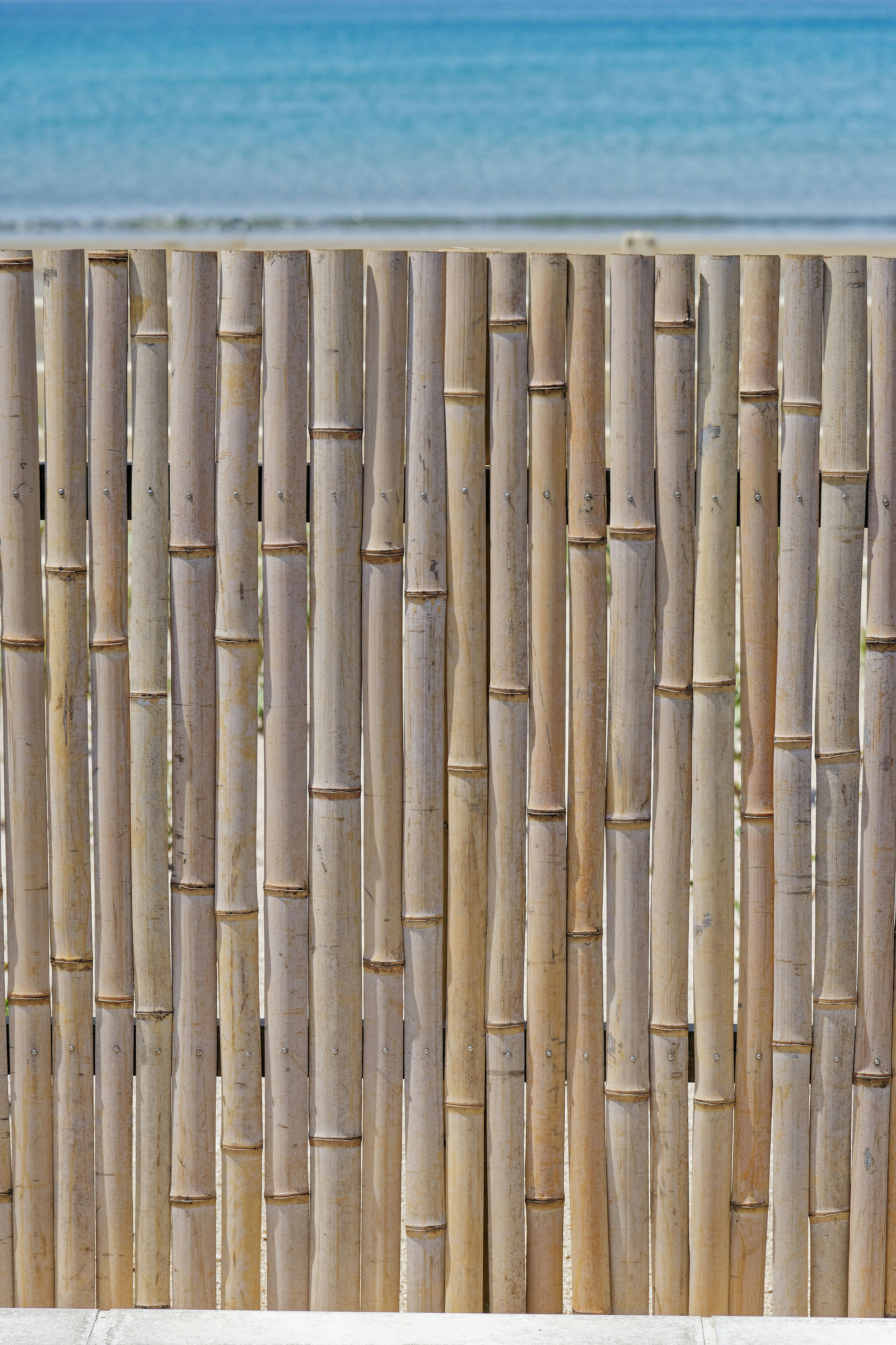 Photo by da_shika_photo