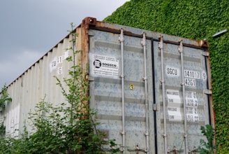 A weathered shipping container is partially covered with rust and surrounded by lush green ivy vines. The container features visible labels and serial numbers, with overgrown vegetation encroaching from the base.