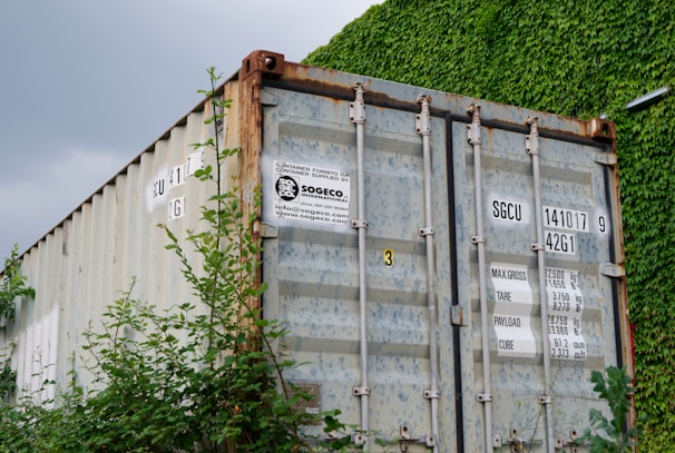 A weathered shipping container is partially covered with rust and surrounded by lush green ivy vines. The container features visible labels and serial numbers, with overgrown vegetation encroaching from the base.