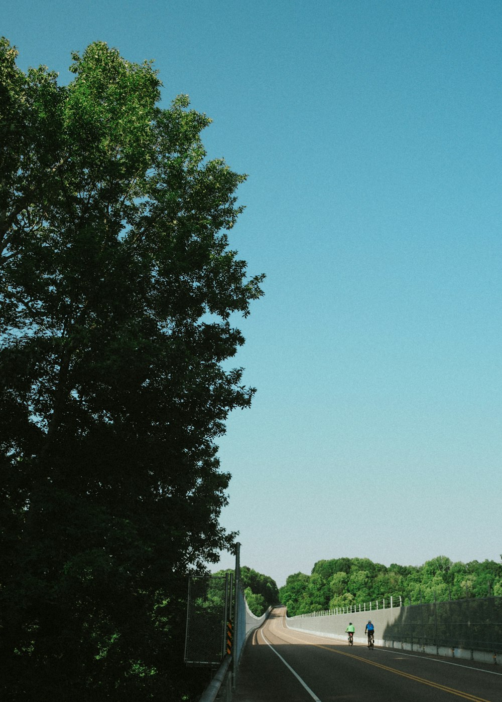 two people are walking down the road near a tree