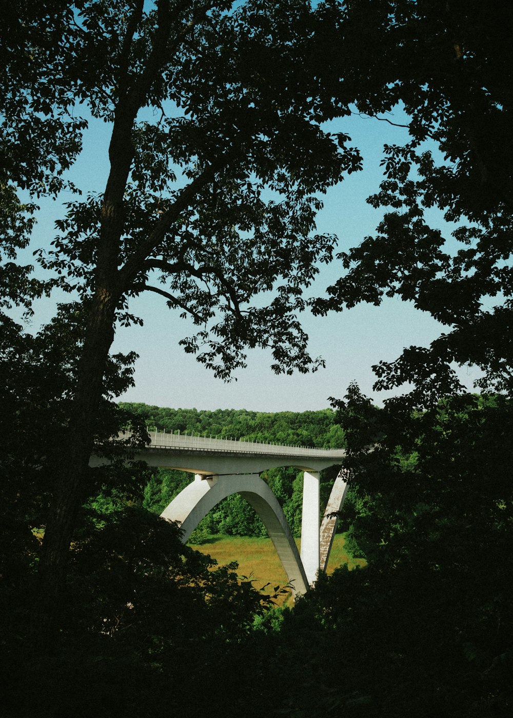 uma vista de uma ponte através de algumas árvores