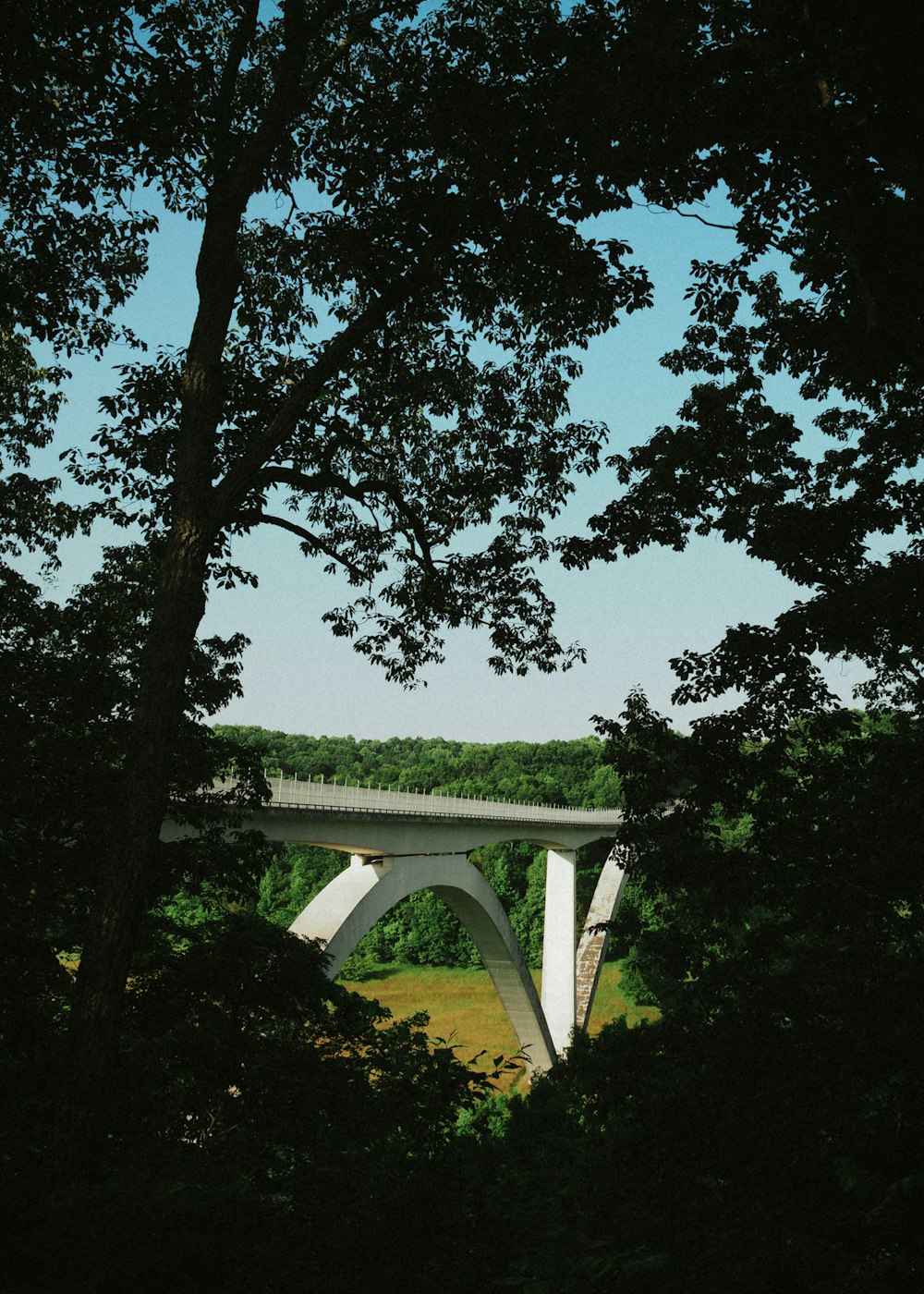 a view of a bridge through some trees