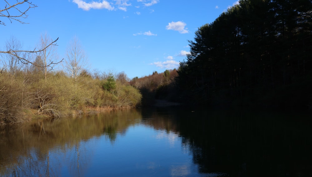 uno specchio d'acqua circondato da alberi e cespugli