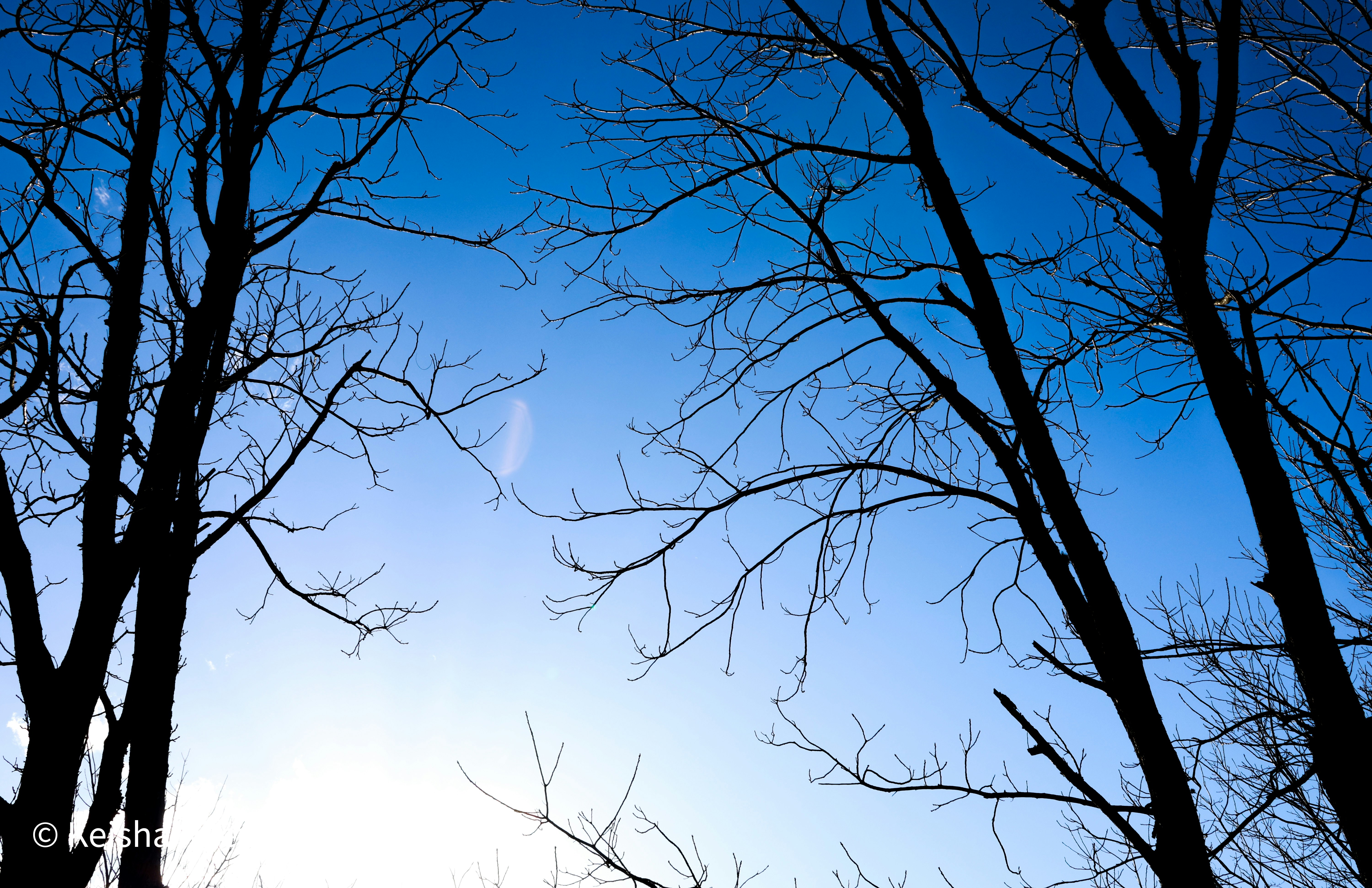 Photo by kkgcreativ3