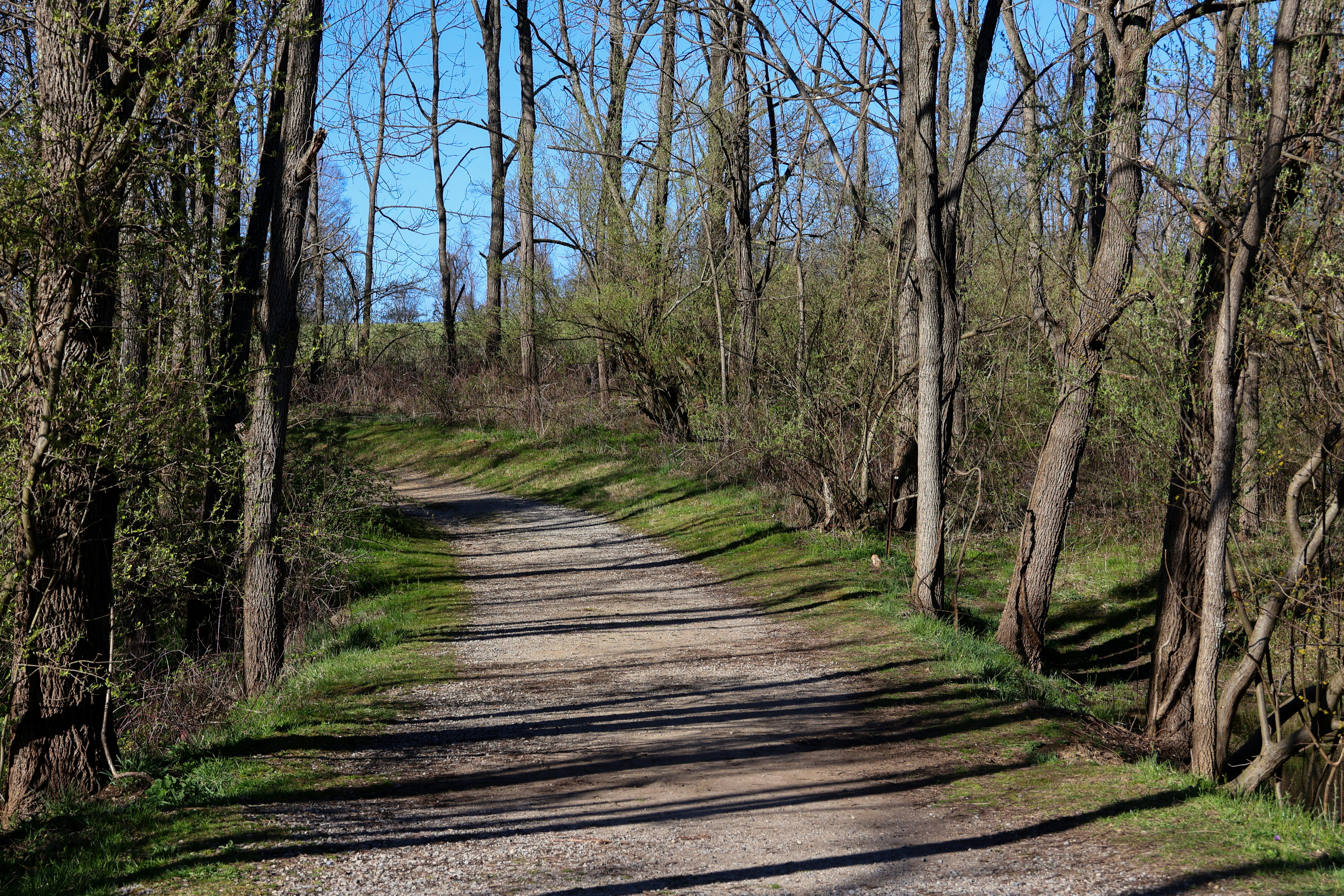 Photo by kkgcreativ3