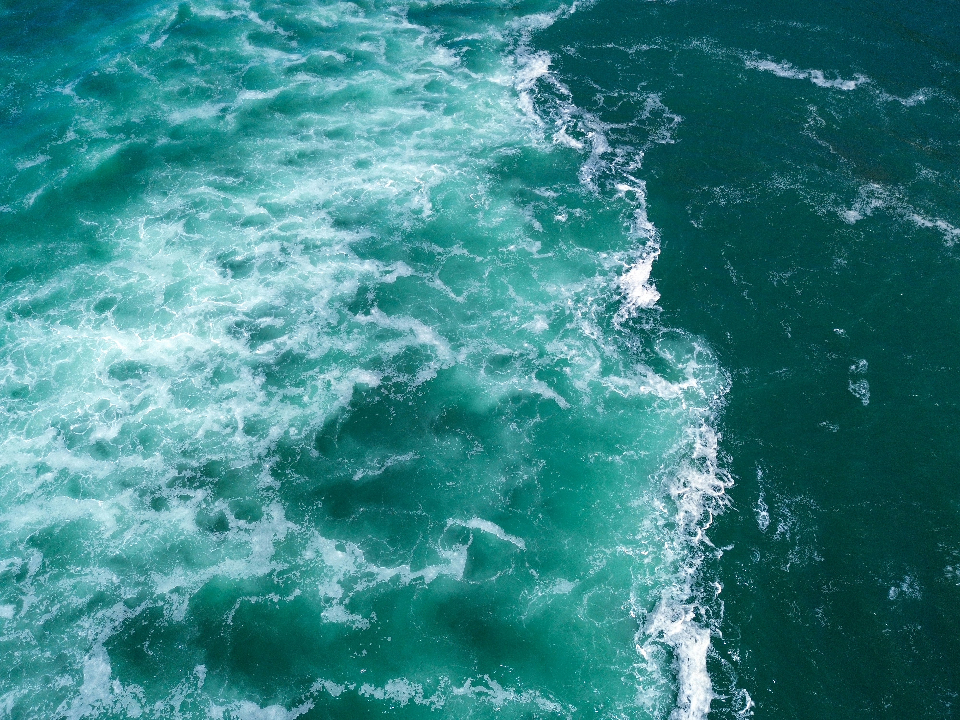 Photo by arroganthamsterlord