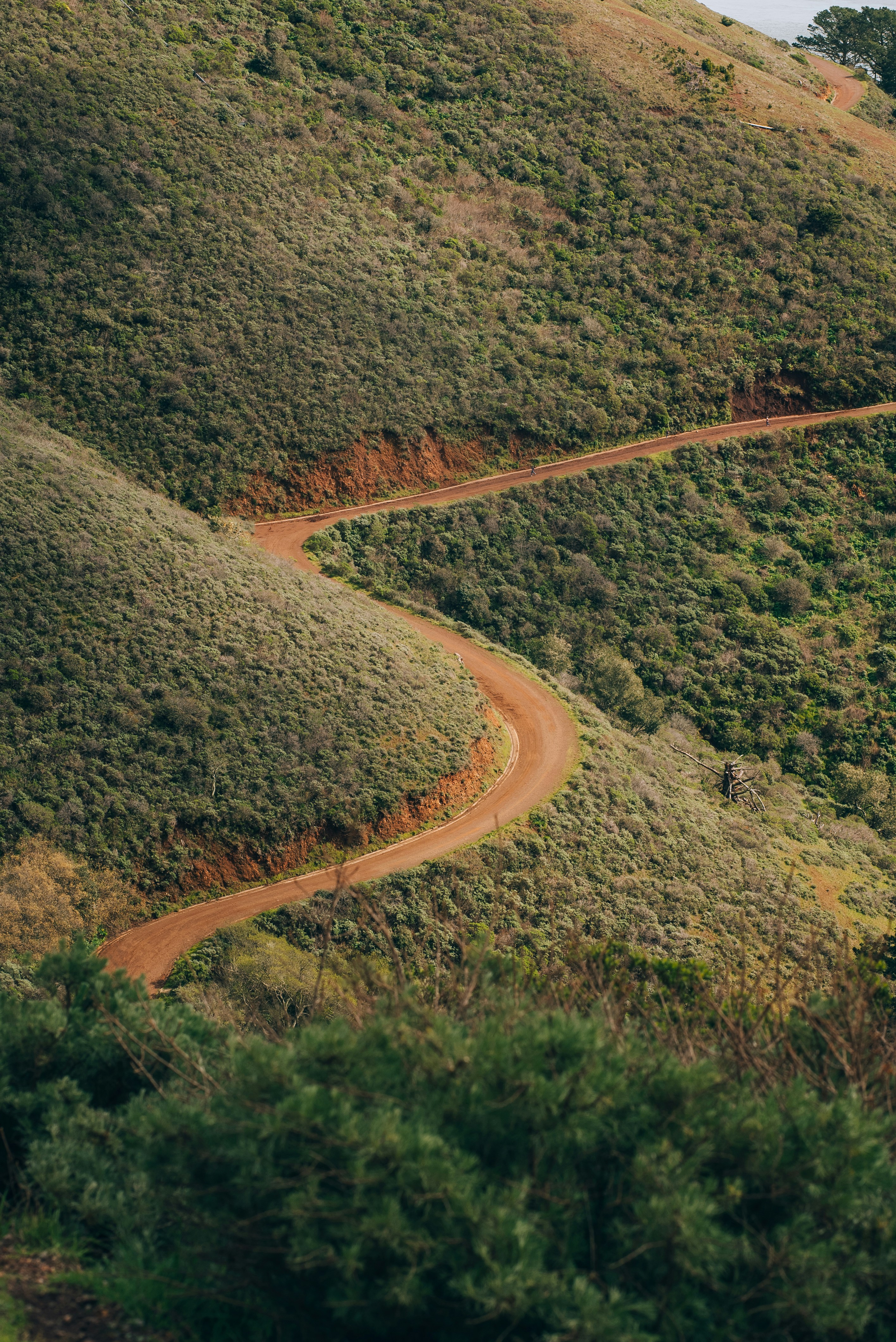 a dirt road winding through a lush green hillside
