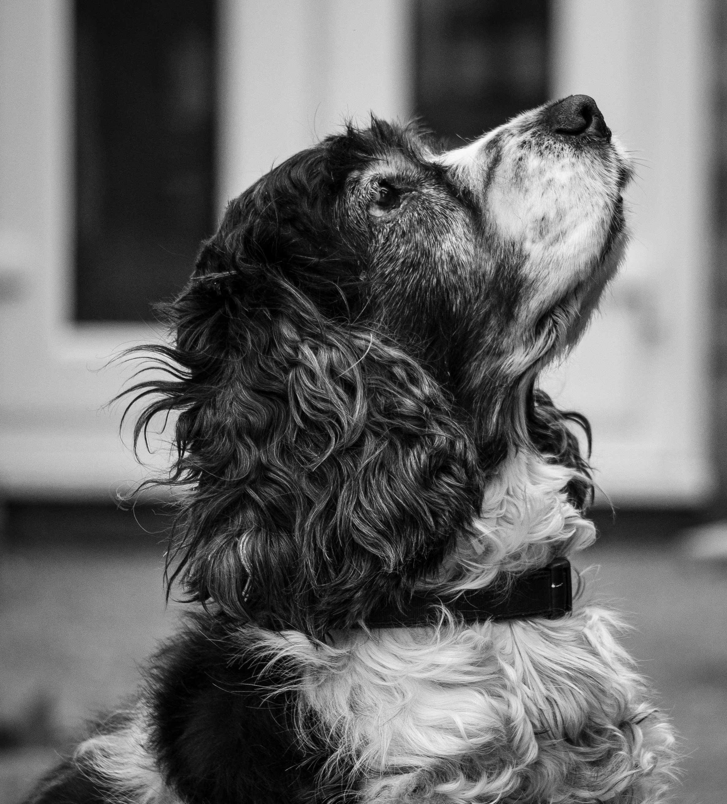 Photo by chloechristinemarketing