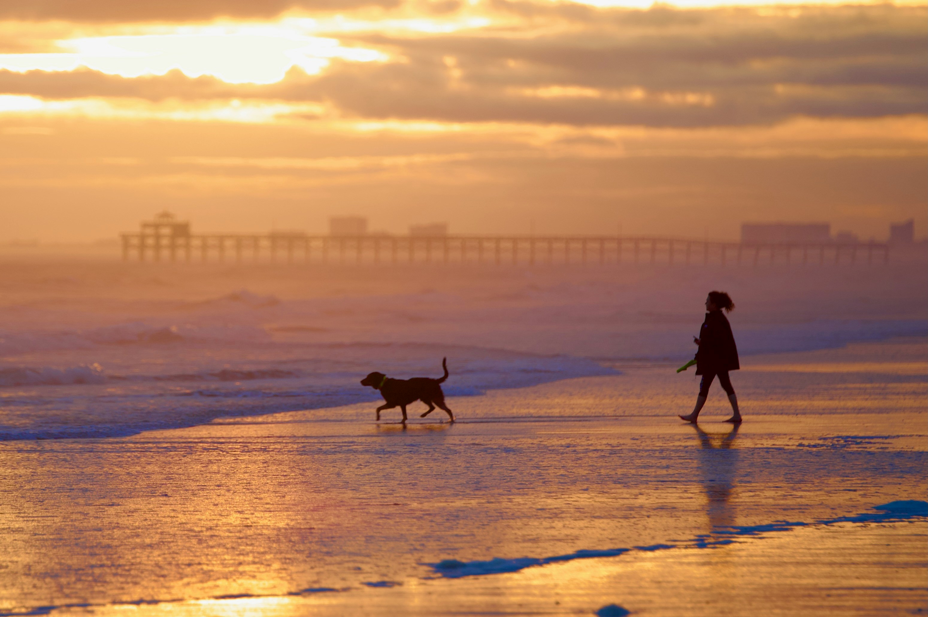 a woman walking a dog on a beach at sunset, 
