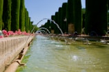 A small fountain with clear water sparkling under the sun, surrounded by wildflowers.