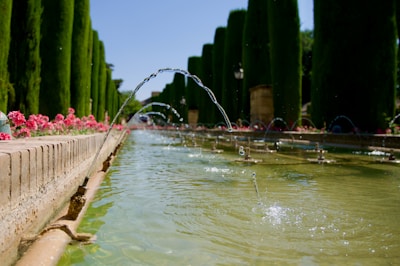 A small fountain with clear water sparkling under the sun, surrounded by wildflowers.