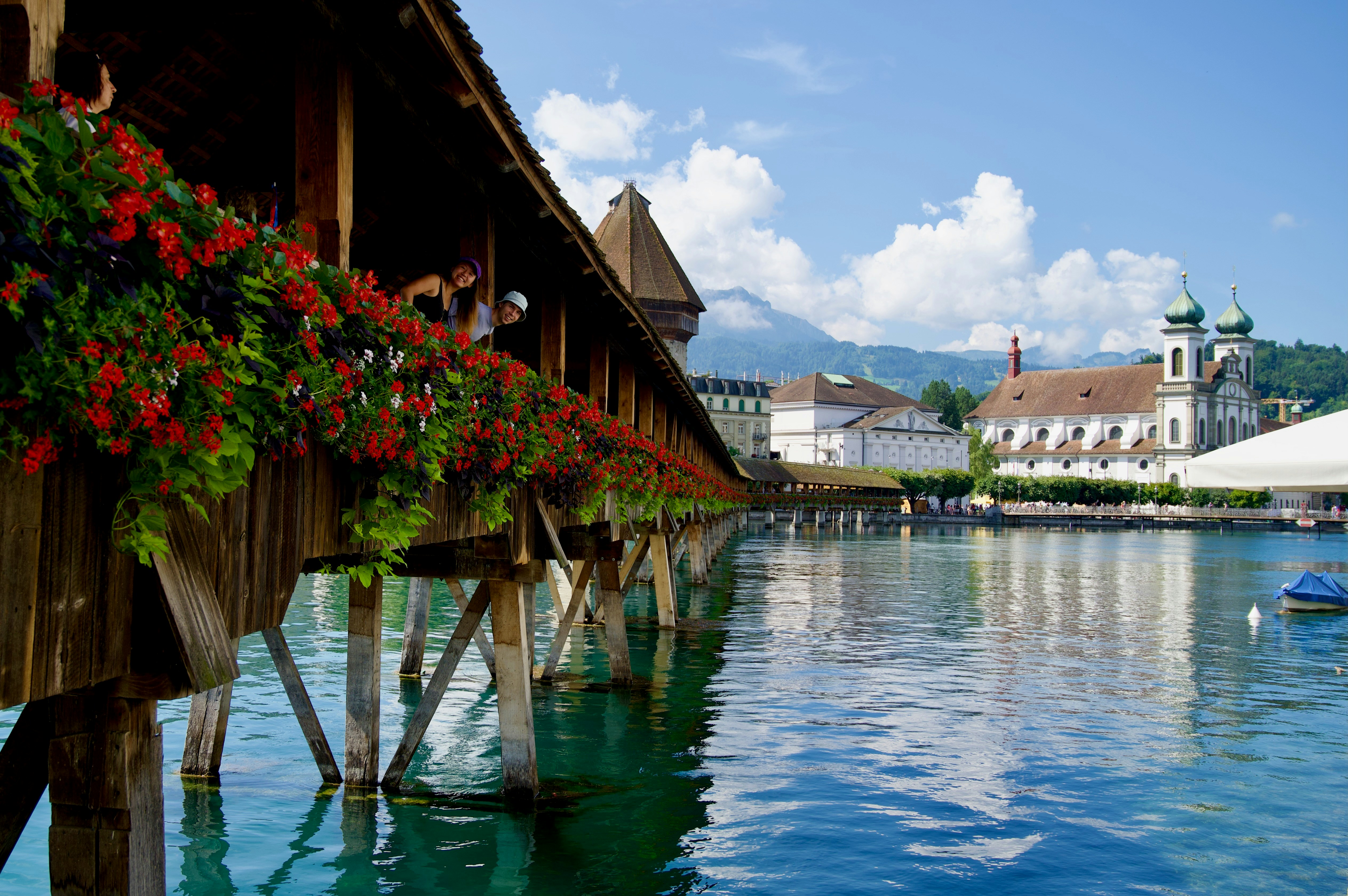 a body of water with a bunch of flowers on it