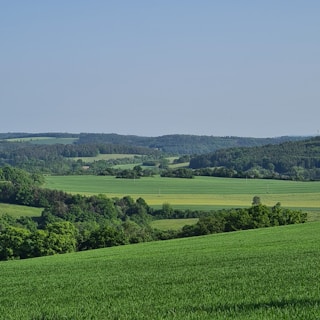 Vast green fields at Ghanalu.