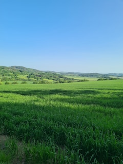 Open green field with clear blue sky and distant hills.