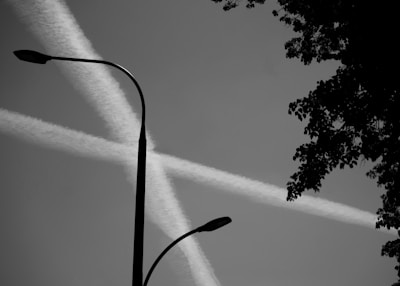 Contrails intersecting in the sky form an X-shaped pattern above a silhouette of a streetlamp. Tree foliage is visible on the right side of the image, creating a natural frame against the sky.
